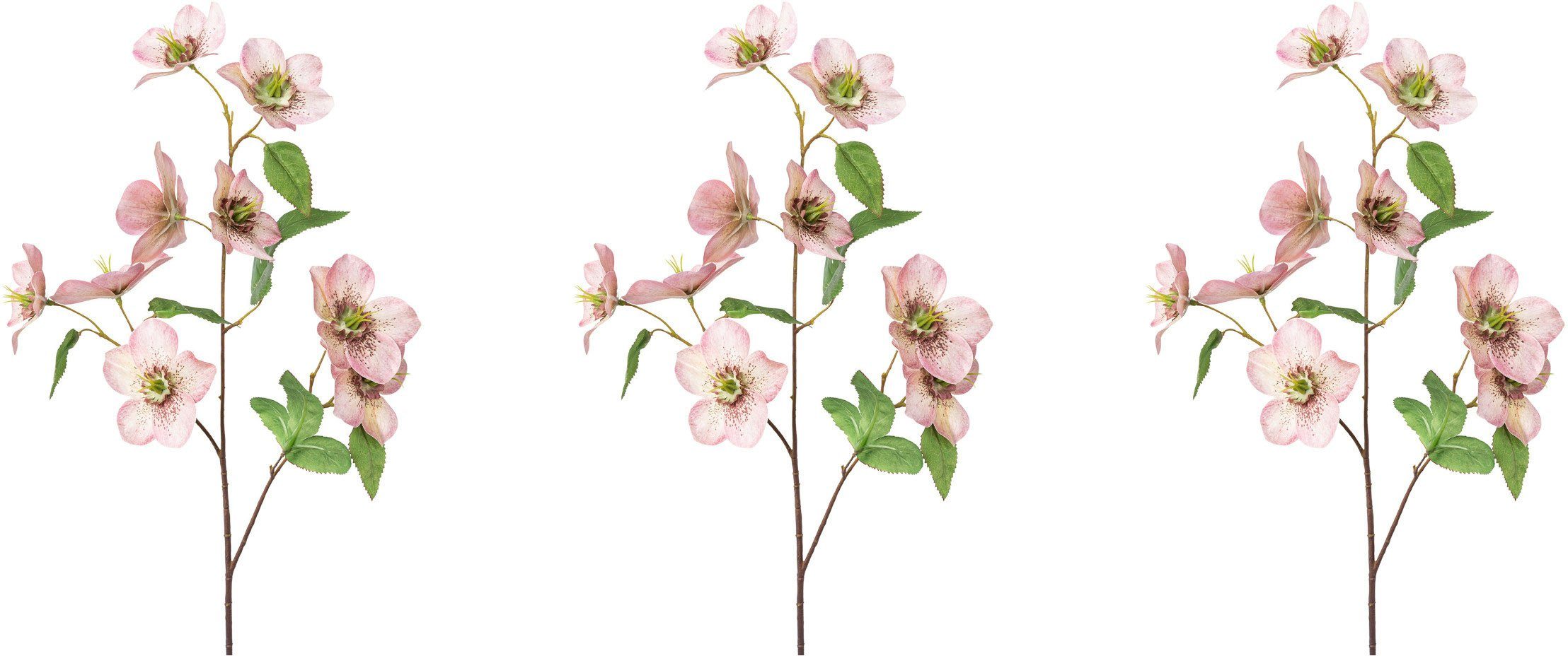 Winterliche Kunstpflanze Weihnachtsdeko Christrose, Creativ green, Höhe 60 cm, üppiges Blüten- und Blattwerk, Zweige im 3er-Set