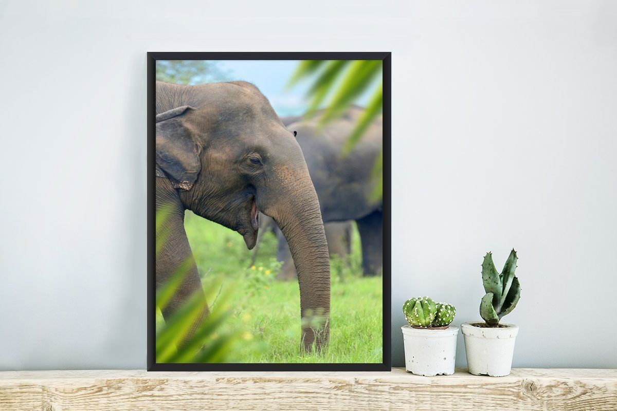 MuchoWow Poster Elefant - Bilderrahmen Schwarzem - Wandposter, Bilder, Tiere, Gerahmtes Poster, (1 St), Palme Wanddeko
