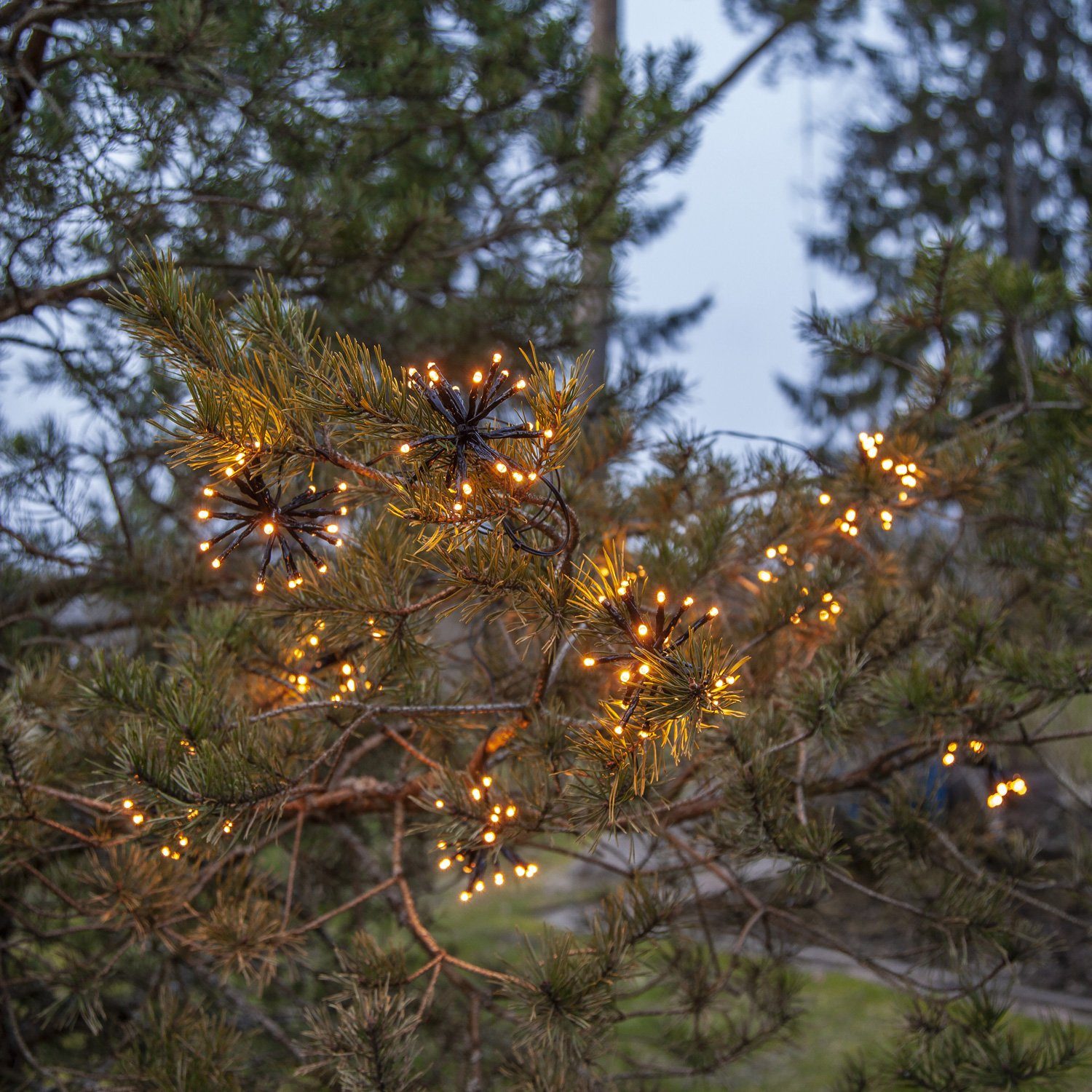 STAR TRADING LED-Lichterkette Feuerwerk 10 Leuchtbälle Büschel 200 bernstein LED 4m f.Außen, 200-flammig