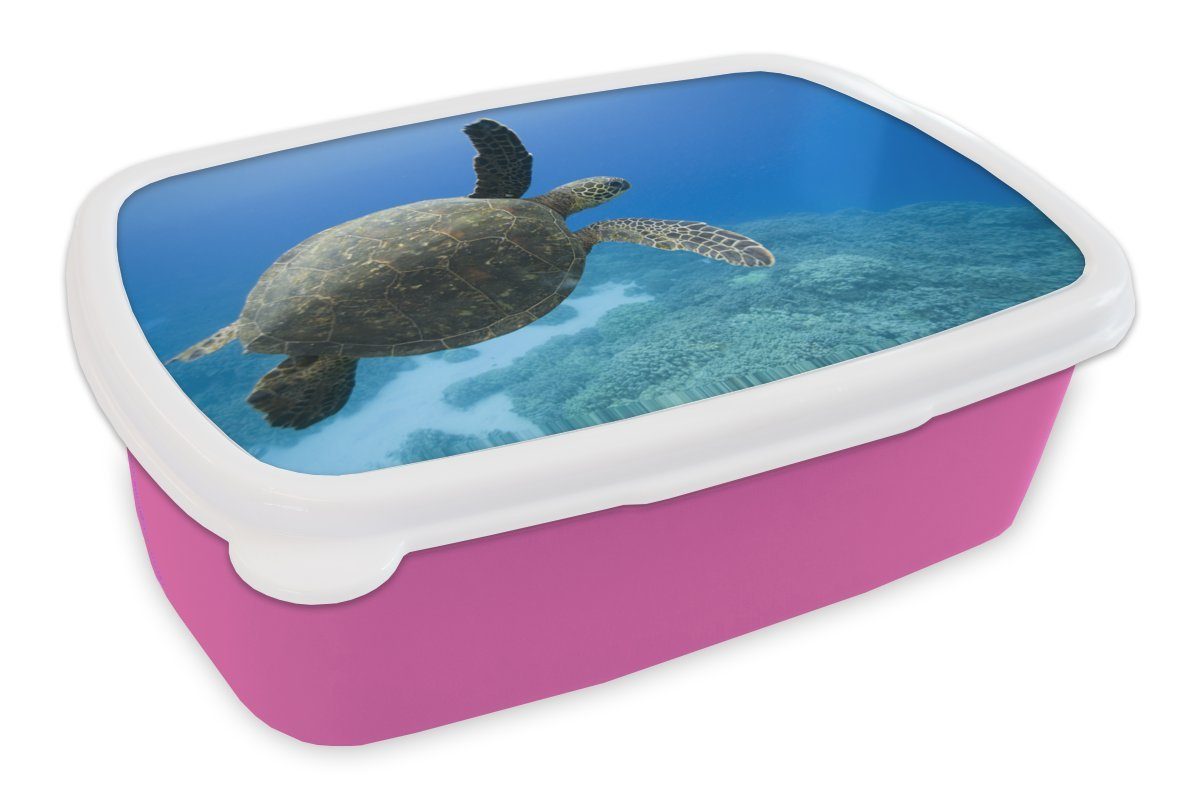 MuchoWow Lunchbox Grüne schwimmende Schildkröte Fotodruck, Kunststoff, (2-tlg), Brotbox für Erwachsene, Brotdose Kinder, Snackbox, Mädchen, Kunststoff rosa