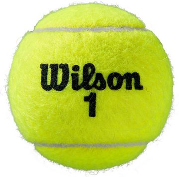 Wilson Tennisball ROLAND GARROS ALL CT 4 BALL