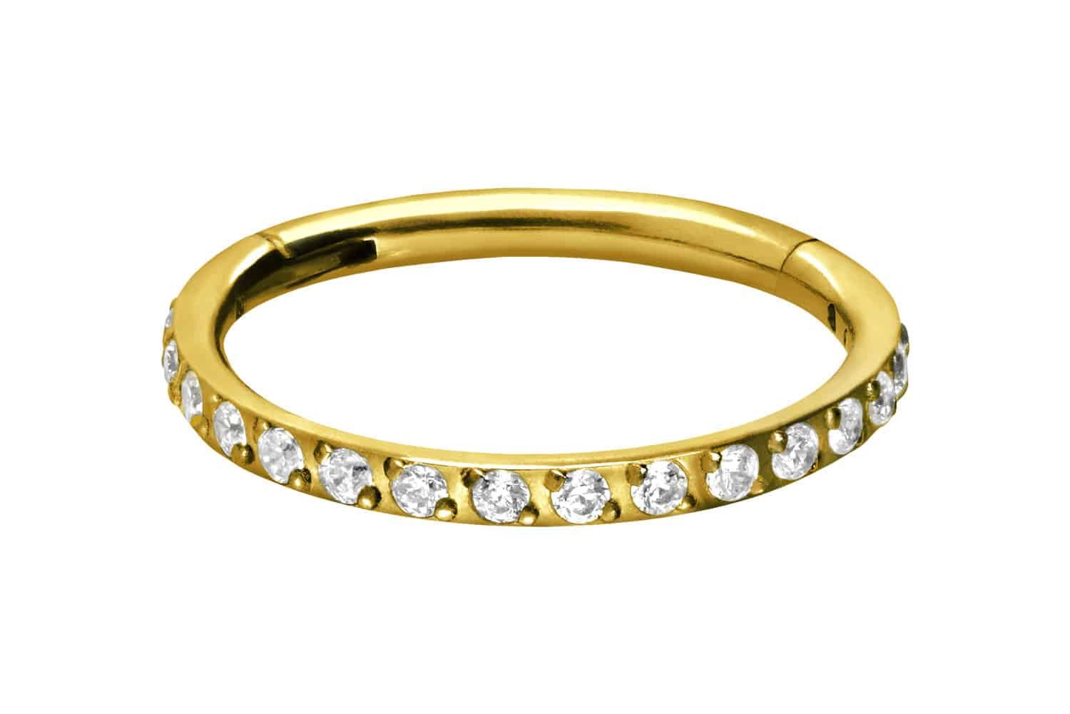 Nasenpiercing Titan Segmentring Clicker EINGEFASSTE KRISTALLE Ohrpiercing Septum