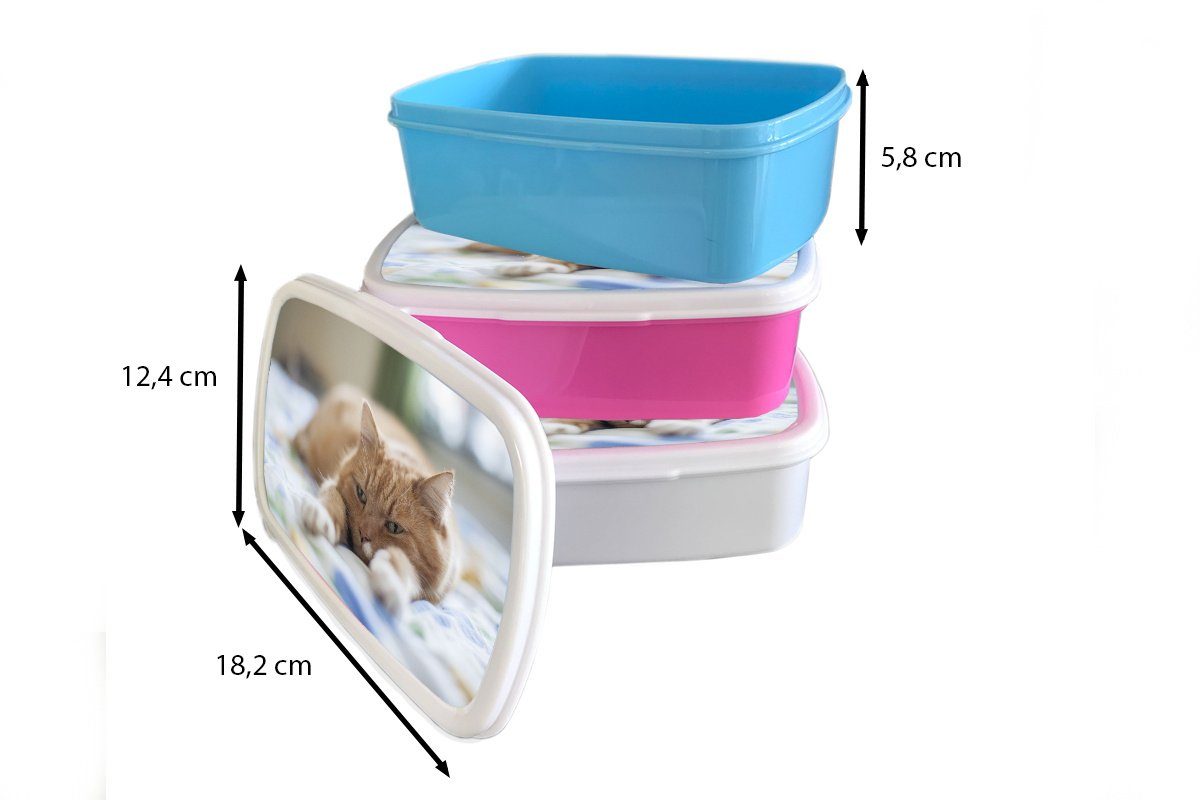 MuchoWow Lunchbox für Erwachsene, - Brotdose, Kinder für Katze (2-tlg), Kunststoff, und Mädchen - Mädchen Kinder Brotbox Jungs weiß Kind, - - - Tagesdecke und Bett - Kinder