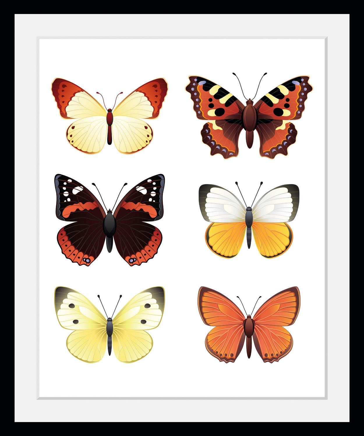 St) queence Schmetterlinge Elina, (1 Bild