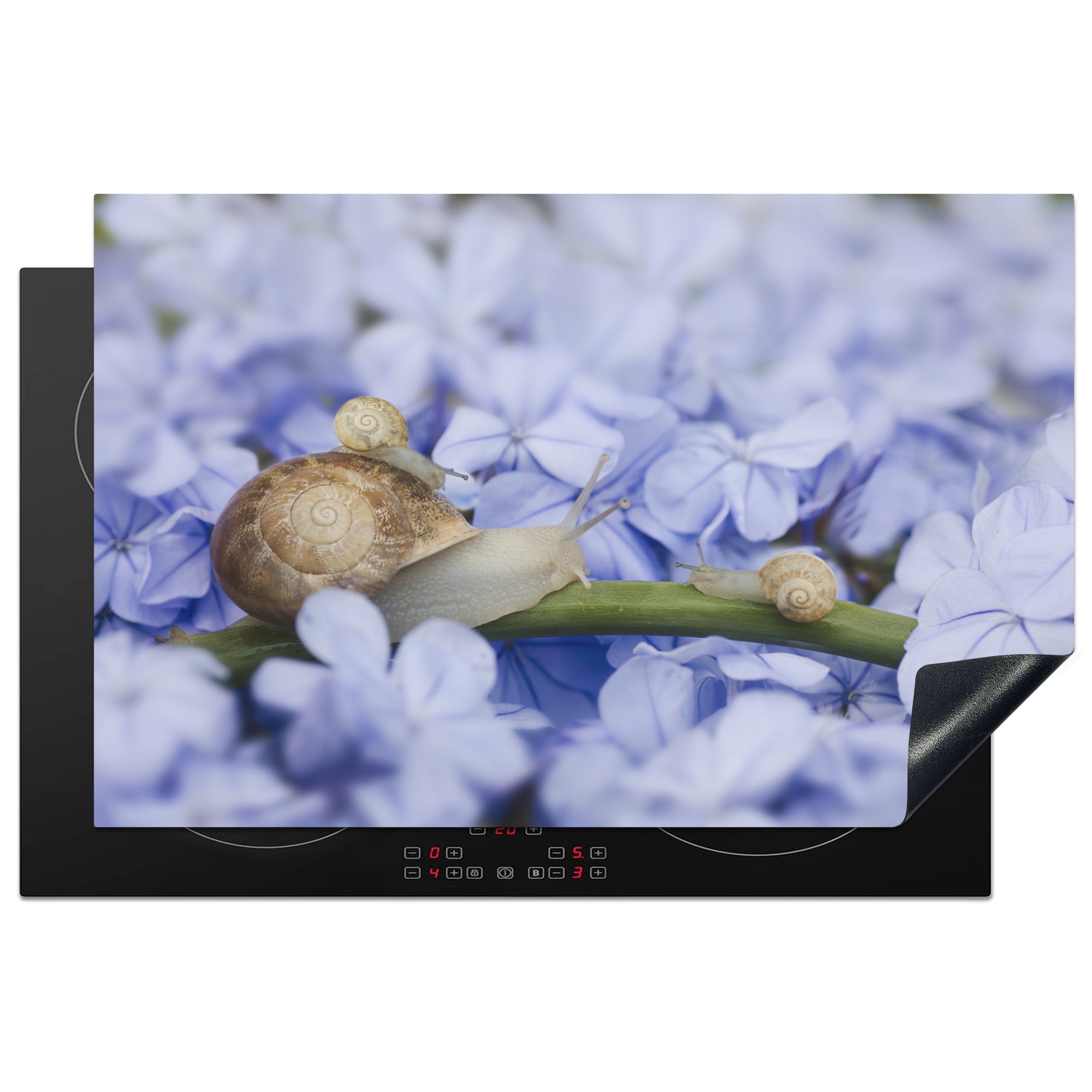 MuchoWow Herdblende-/Abdeckplatte Schnecke mit Junge Blumen, sitzt Ceranfeldabdeckung küche, Schutz (1 für cm, Vinyl, Induktionskochfeld 81x52 zwischen die tlg), lila