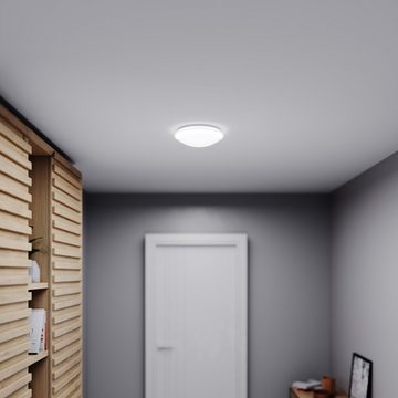 steinel LED Deckenleuchte RS, Bewegungsmelder, LED fest integriert, Warmweiß, 360°Bewegungsmelder+LEDLeuchtmittel,Warmweiß,Opalglas,Wand-Deckenlampe