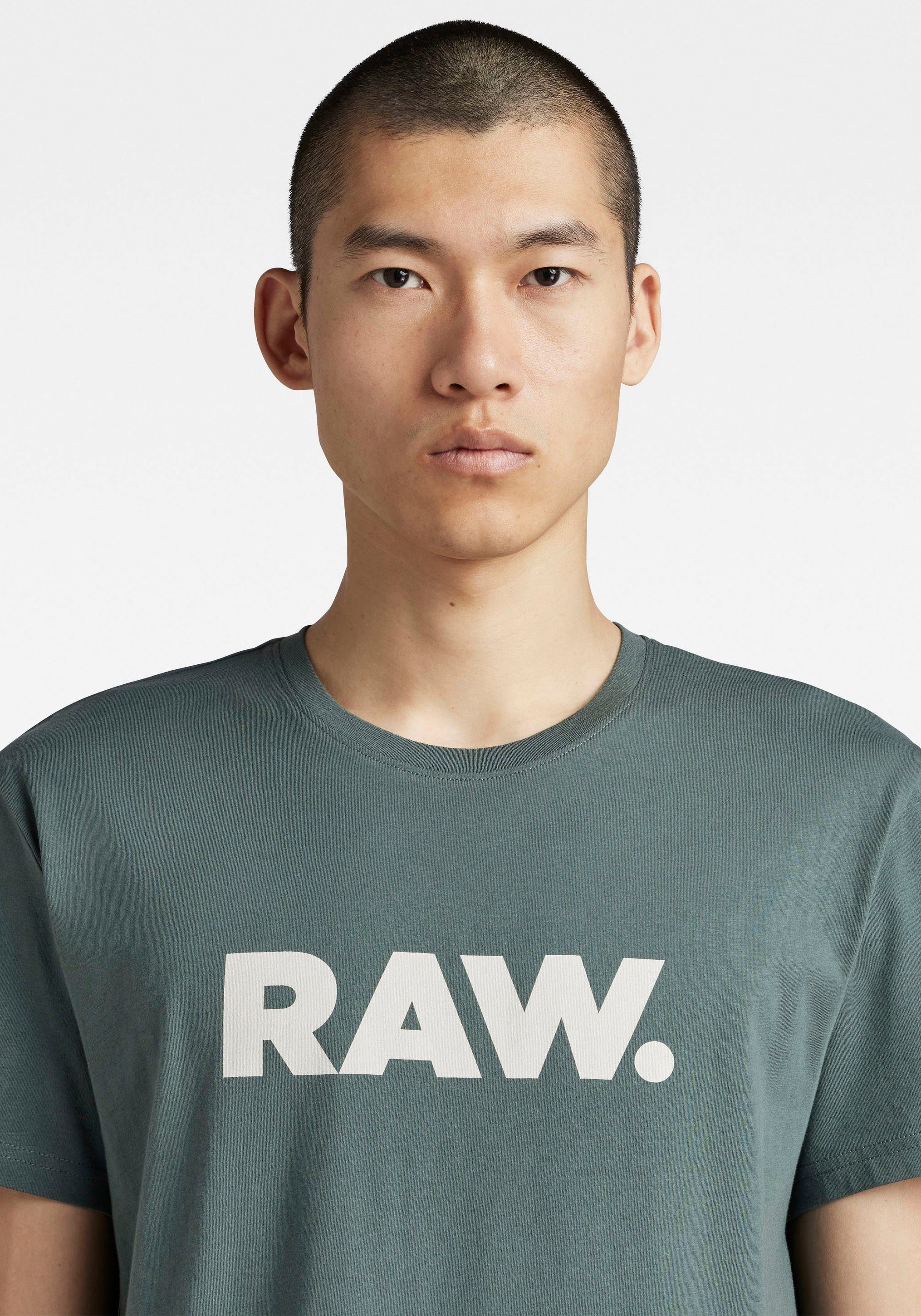 G-Star RAW Print-Shirt T-Shirt Holorn grey moss r t