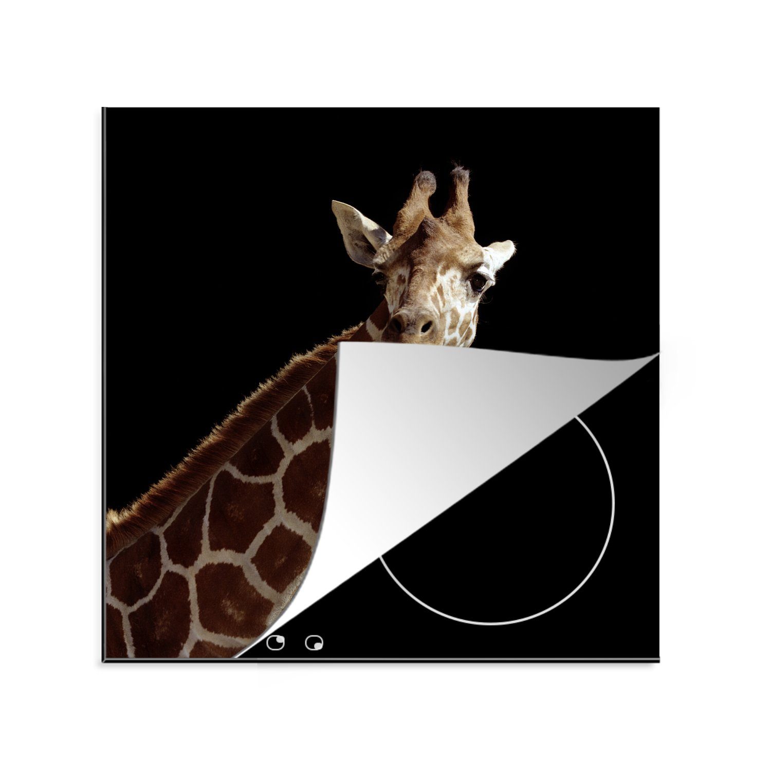 MuchoWow Herdblende-/Abdeckplatte Giraffe Porträt für schwarzen Hintergrund, Vinyl, (1 tlg), 78x78 cm, Ceranfeldabdeckung, Arbeitsplatte für küche