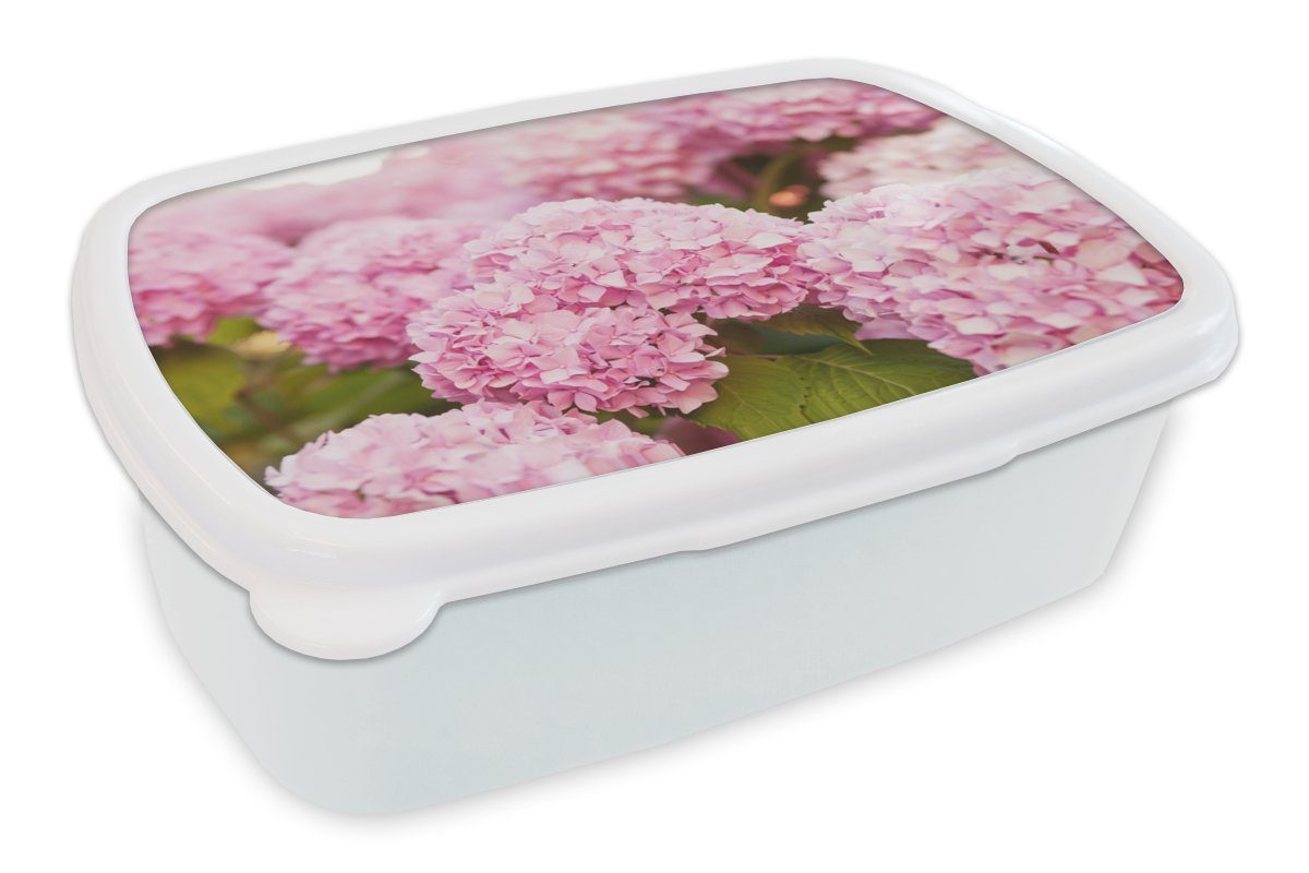 MuchoWow Lunchbox Jungs Kunststoff, Brotdose, - Mädchen weiß und - für (2-tlg), Busch - Brotbox Kinder Hortensie, Blumen Erwachsene, für und Rosa