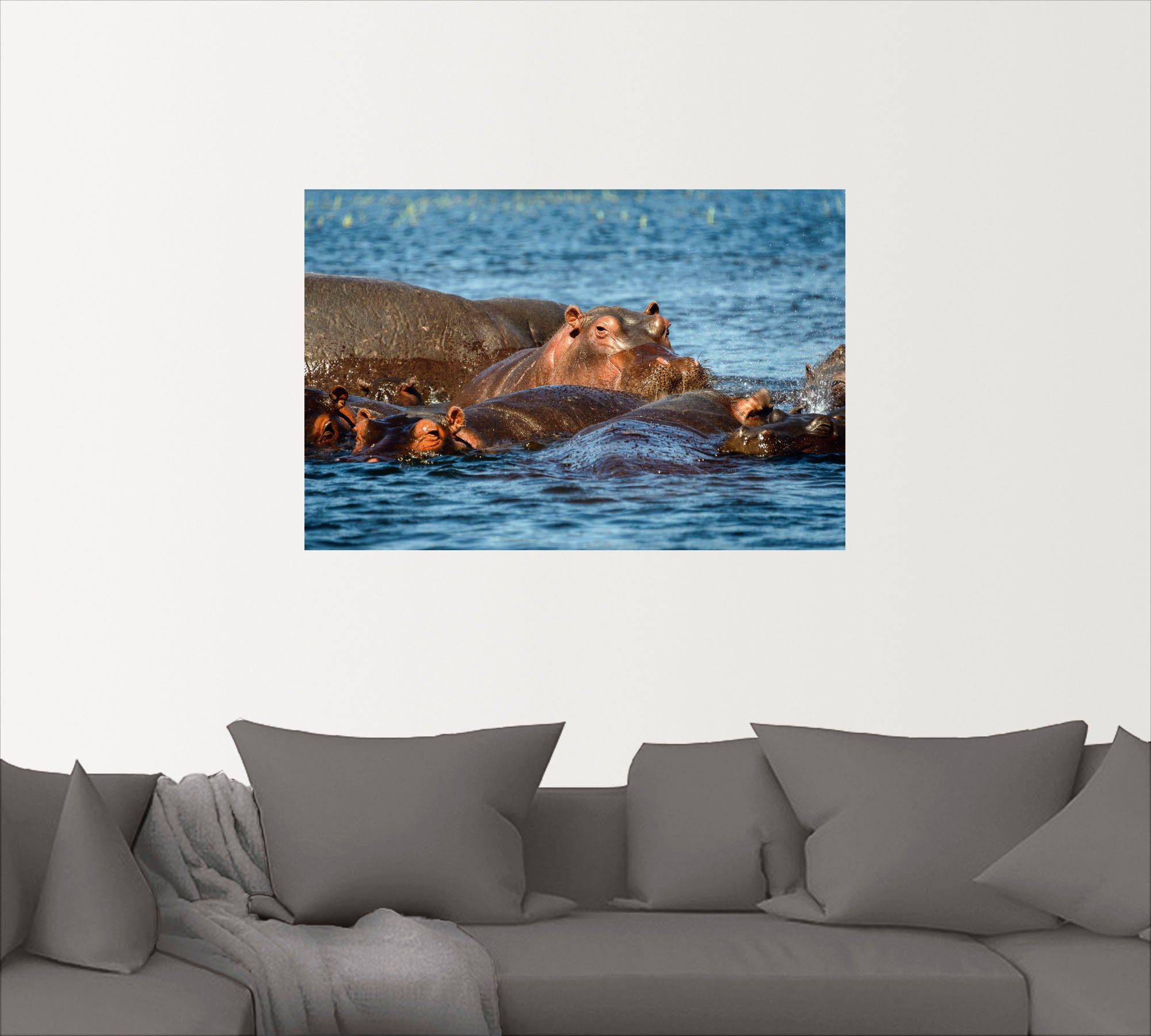 Flusspferde St), Artland Wildtiere versch. (1 Alubild, Größen im Wandbild in oder als Fluss, Leinwandbild, Poster Wandaufkleber Chobe