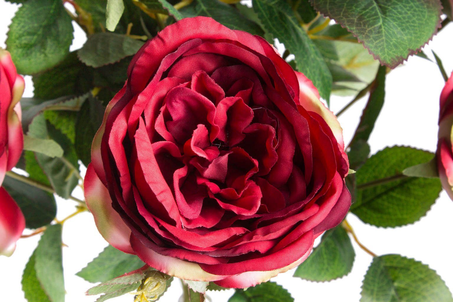 Kunstblume Englischer Rosenbusch Botanic-Haus, 46 Rose, cm Höhe
