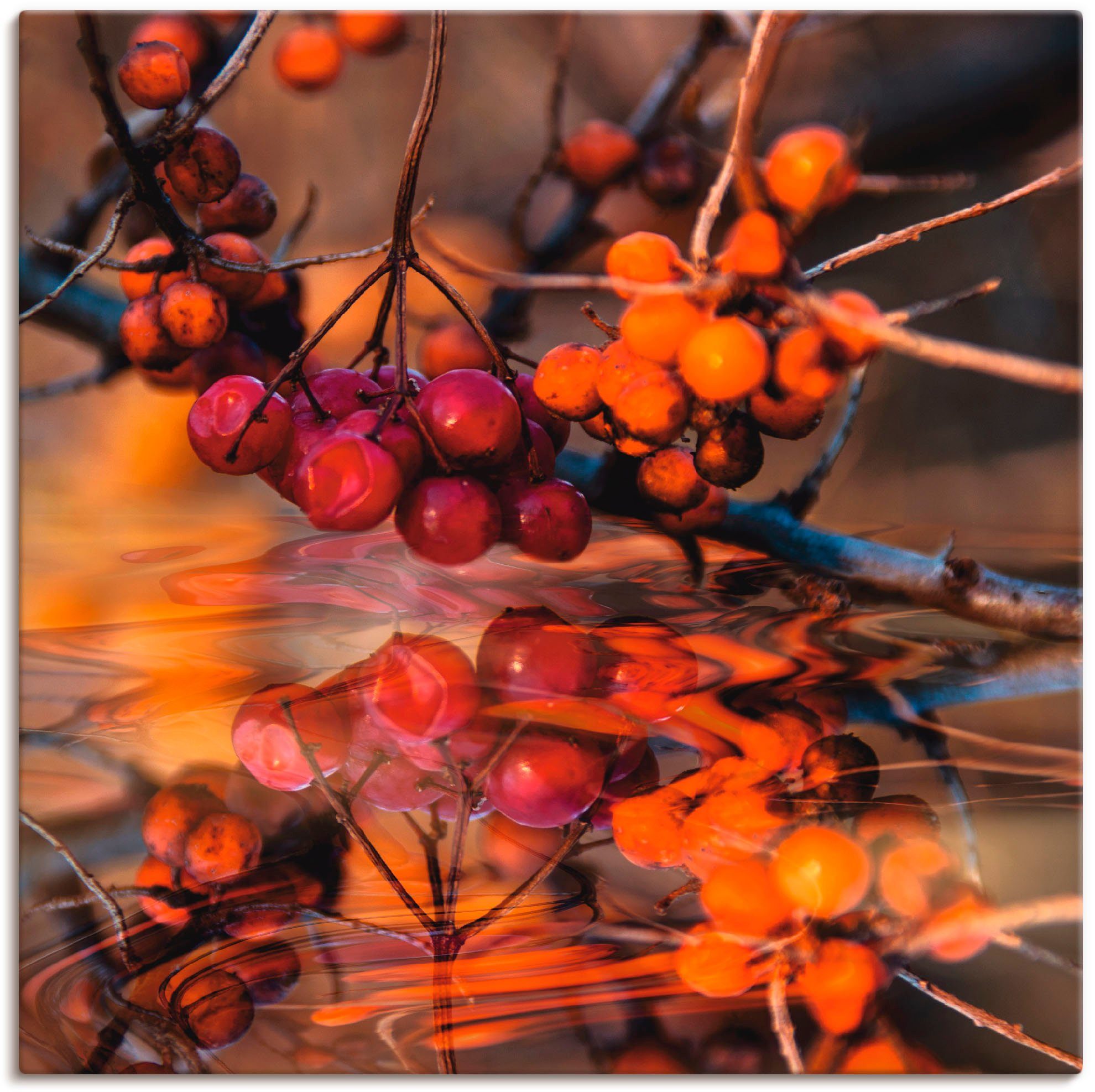 Artland Wandbild Rote Beeren - Wildbeeren, Pflanzen (1 St), als Alubild,  Leinwandbild, Wandaufkleber oder Poster in versch. Größen | Poster