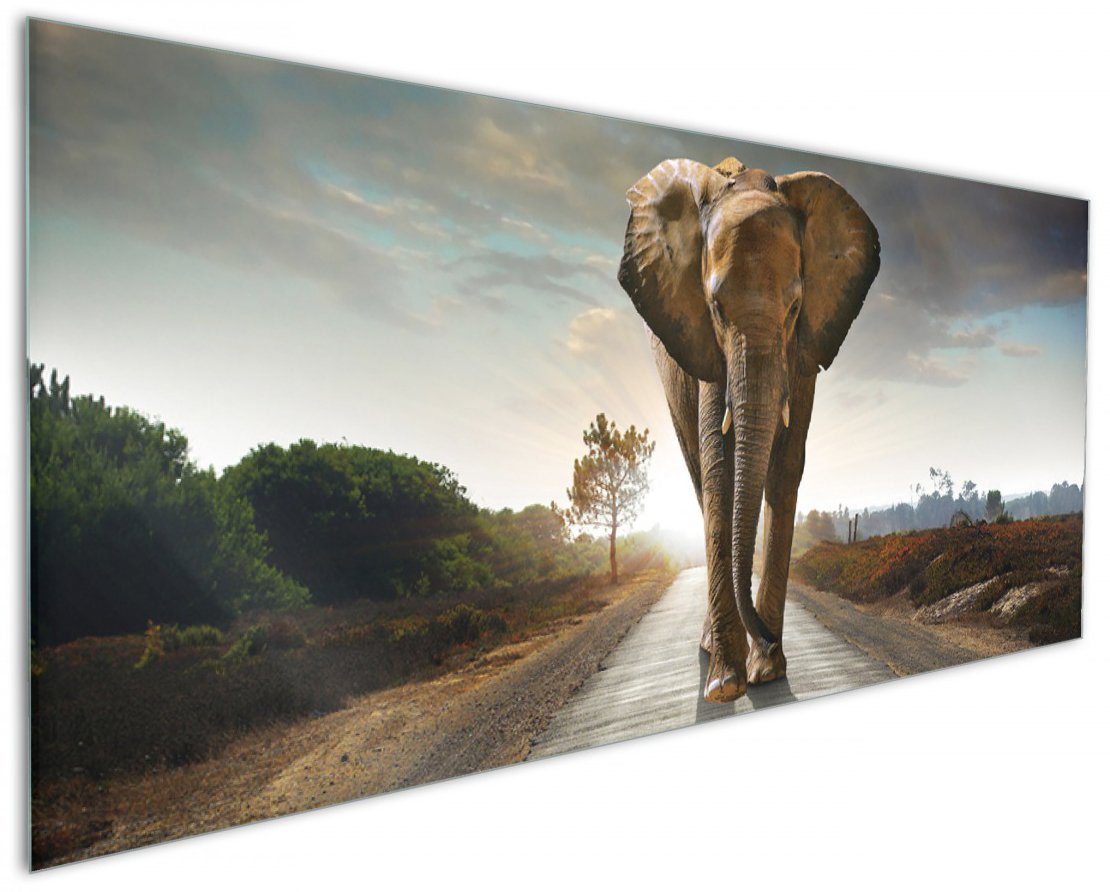 Afrika, bei Elefant in Wallario Küchenrückwand Sonnenaufgang (1-tlg)