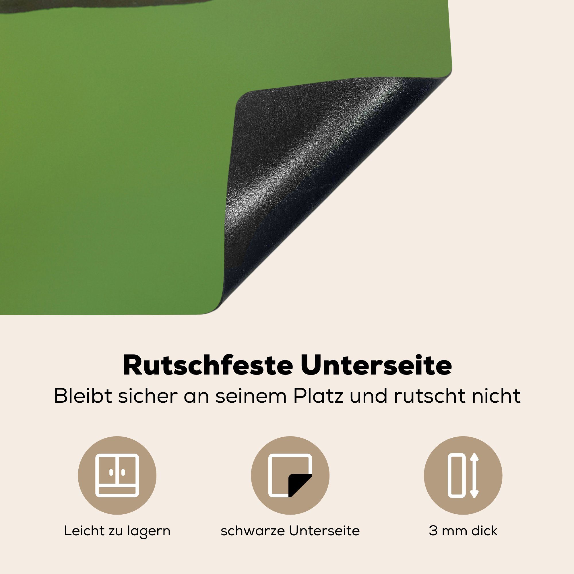 MuchoWow Herdblende-/Abdeckplatte Grashüpfer - Blume 78x78 Vinyl, Arbeitsplatte für Grün, Ceranfeldabdeckung, cm, tlg), (1 - küche