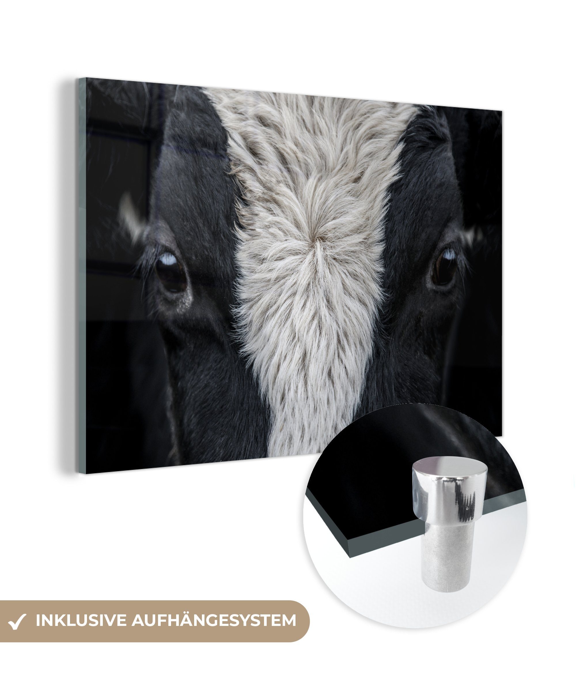 MuchoWow Acrylglasbild Kuh - Auge - Schwarz - Weiß, (1 St), Acrylglasbilder Wohnzimmer & Schlafzimmer