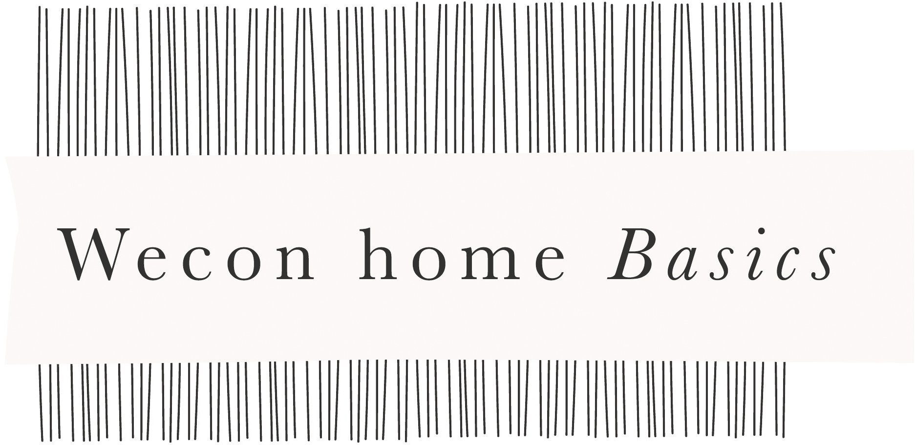 Wecon home Basics