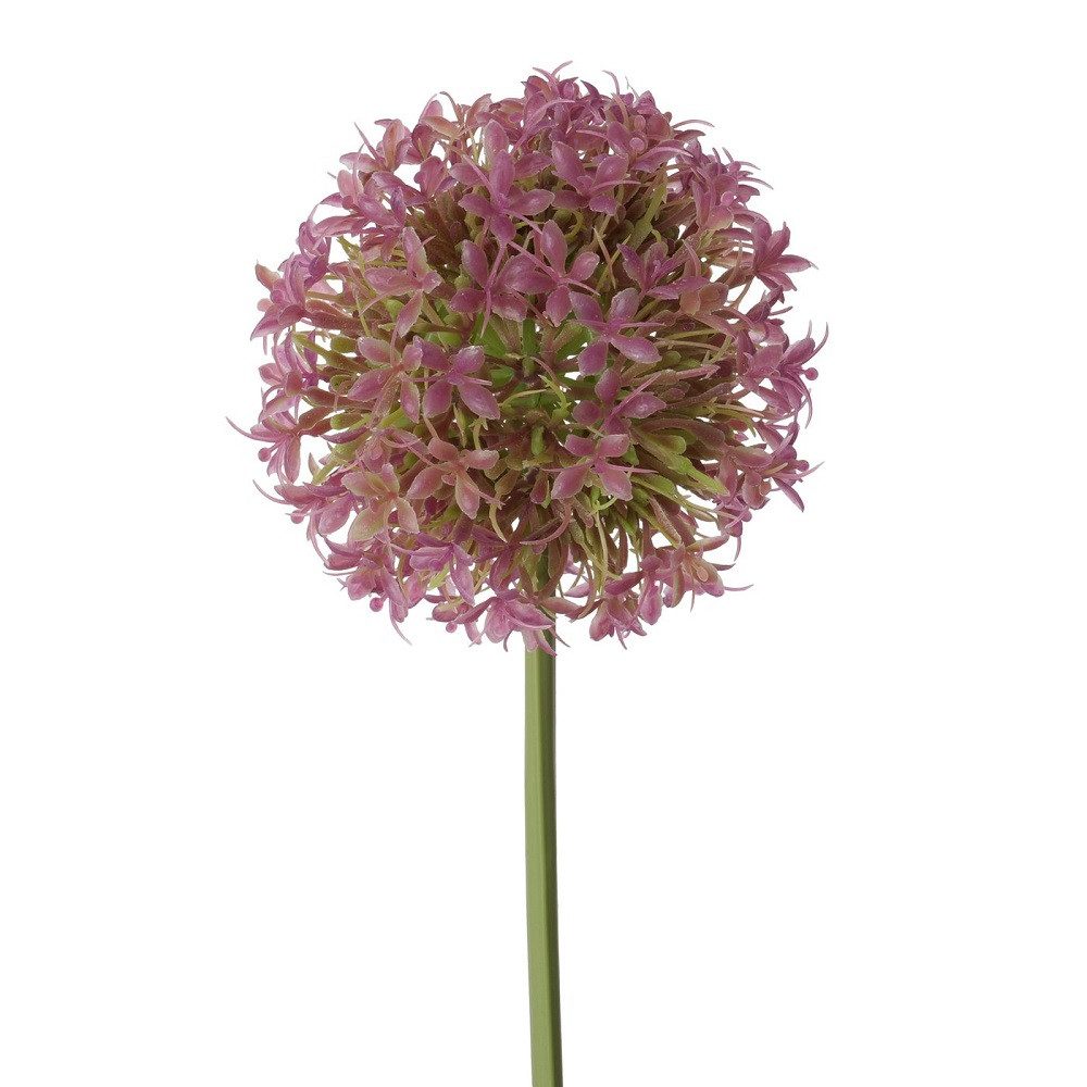 Trockenblume Dekozweig, BOLTZE GRUPPE GmbH