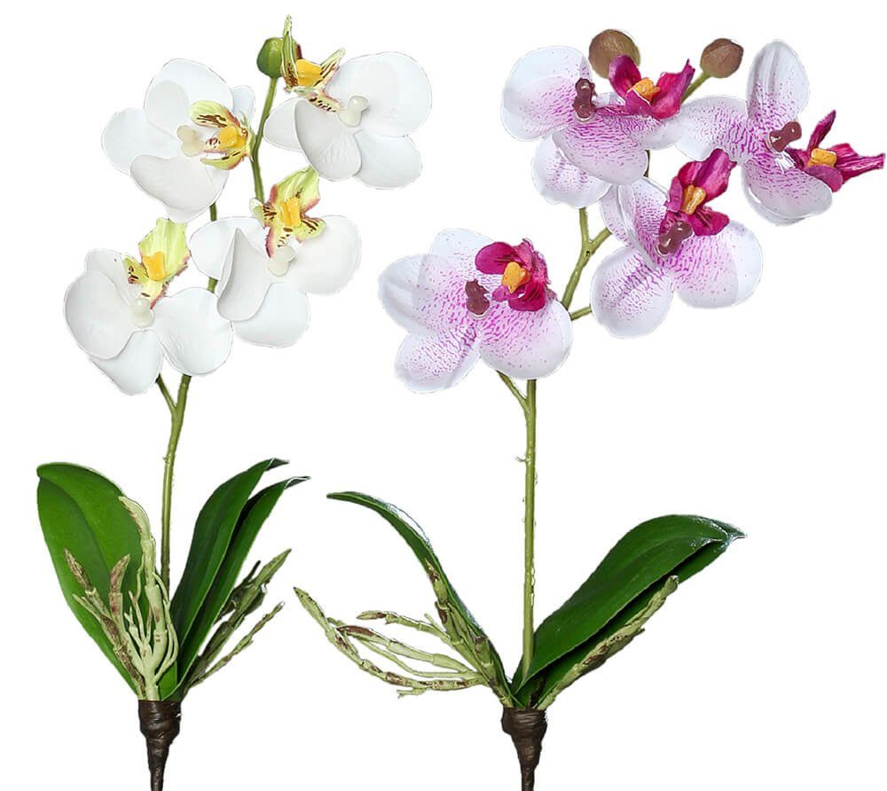26 HOME Kunstblume Phalaenopsis Stk 26 weiß Indoor & HOBBY, Orchideen, Mini Höhe cm 1 matches21 Orchideen cm,