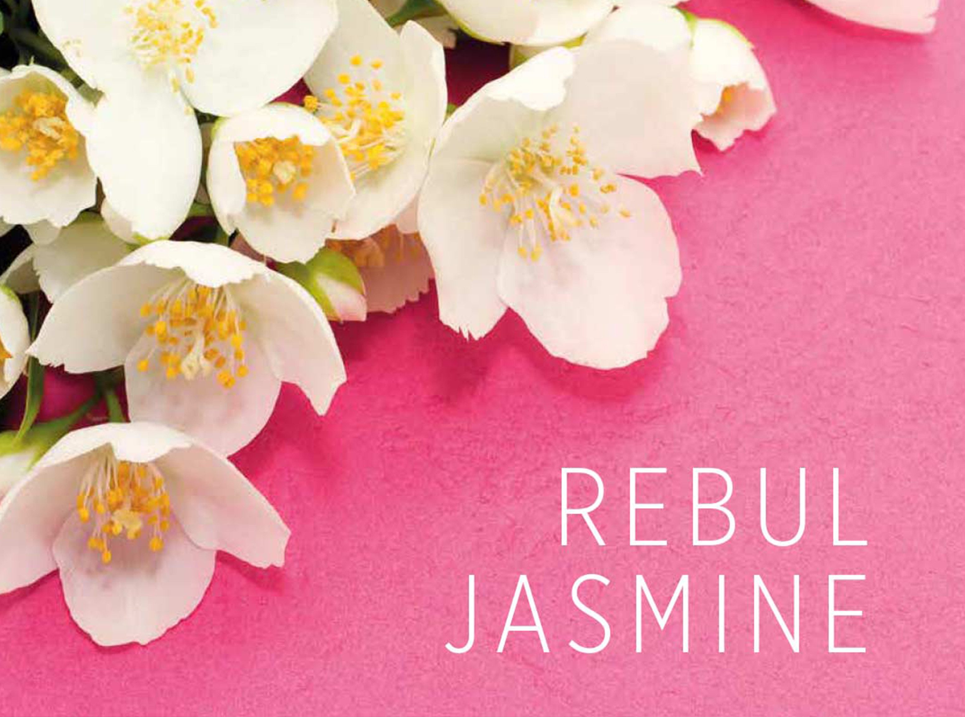 uandu home Eau de Cologne Rebul Eau de Cologne, Kölnisch Wasser für Herren Glasflasche, 100ml & 250ml After Shave, Cologne, Rasierwasser für Herren und Damen