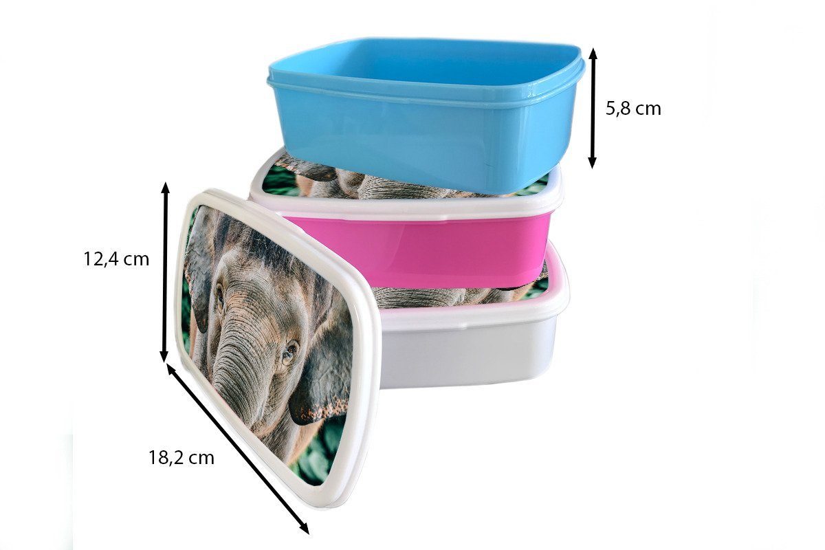 Jungs Erwachsene, Lunchbox eines Brotbox und Kunststoff, MuchoWow (2-tlg), Brotdose, Mädchen Kinder und für für Elefanten, Nahaufnahme weiß