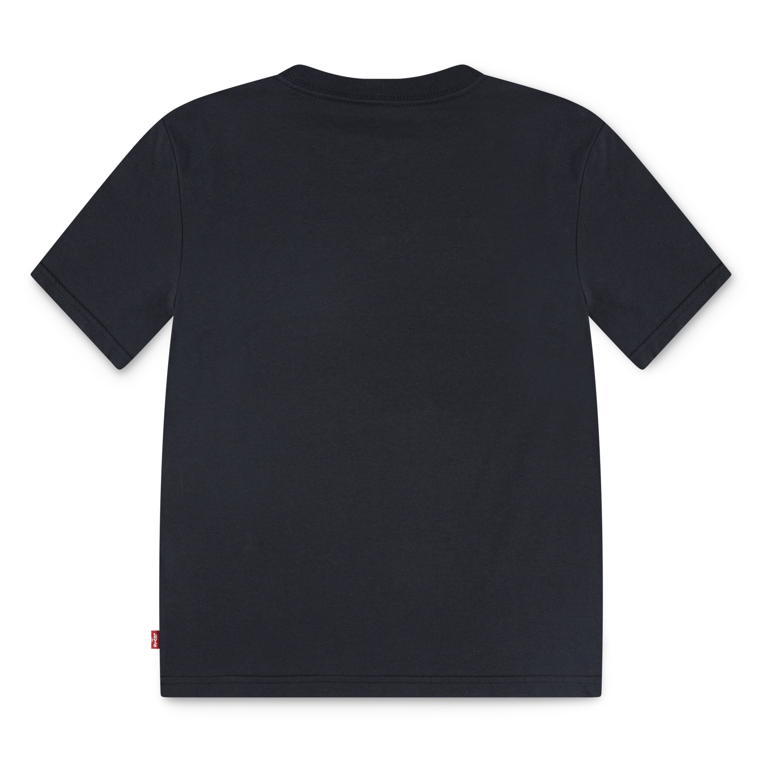 Levi's® Kids T-Shirt LVB CACTUS IN THE SUNSET mit Western-Print