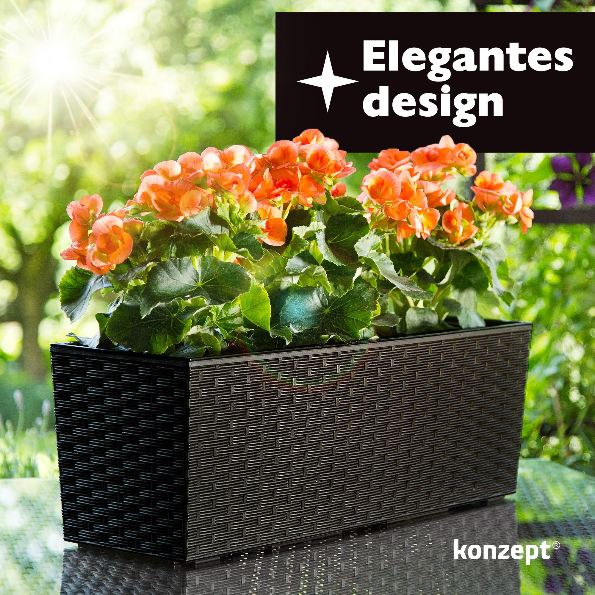 KONZEPT Balkonkasten Hochwertige Blumenkasten Rattan-Optikin, rechteckig günstig online kaufen