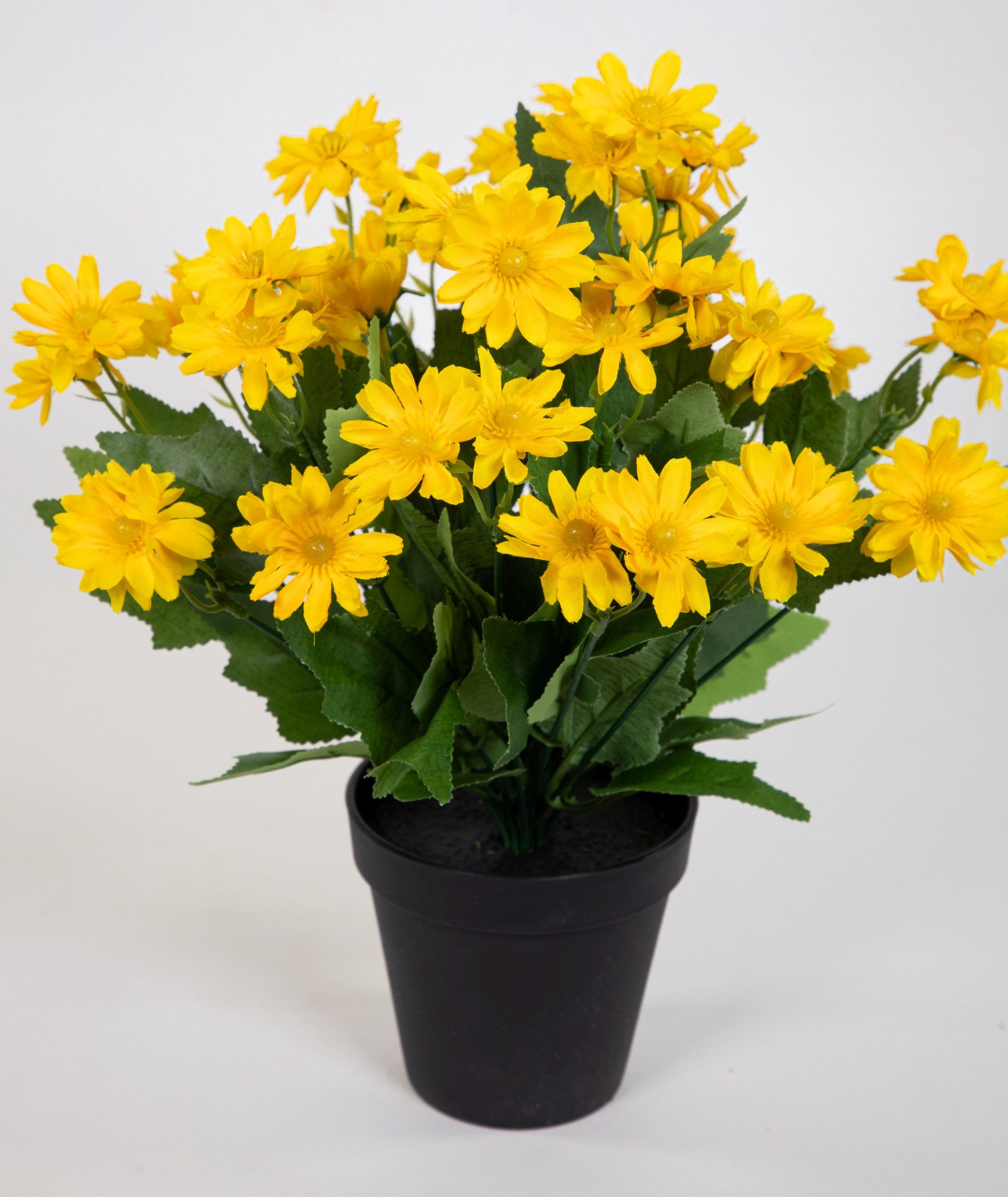 Kunstblume Margeritenbusch 32cm im Topf JA Kunstpflanzen künstliche Blume P günstig online kaufen