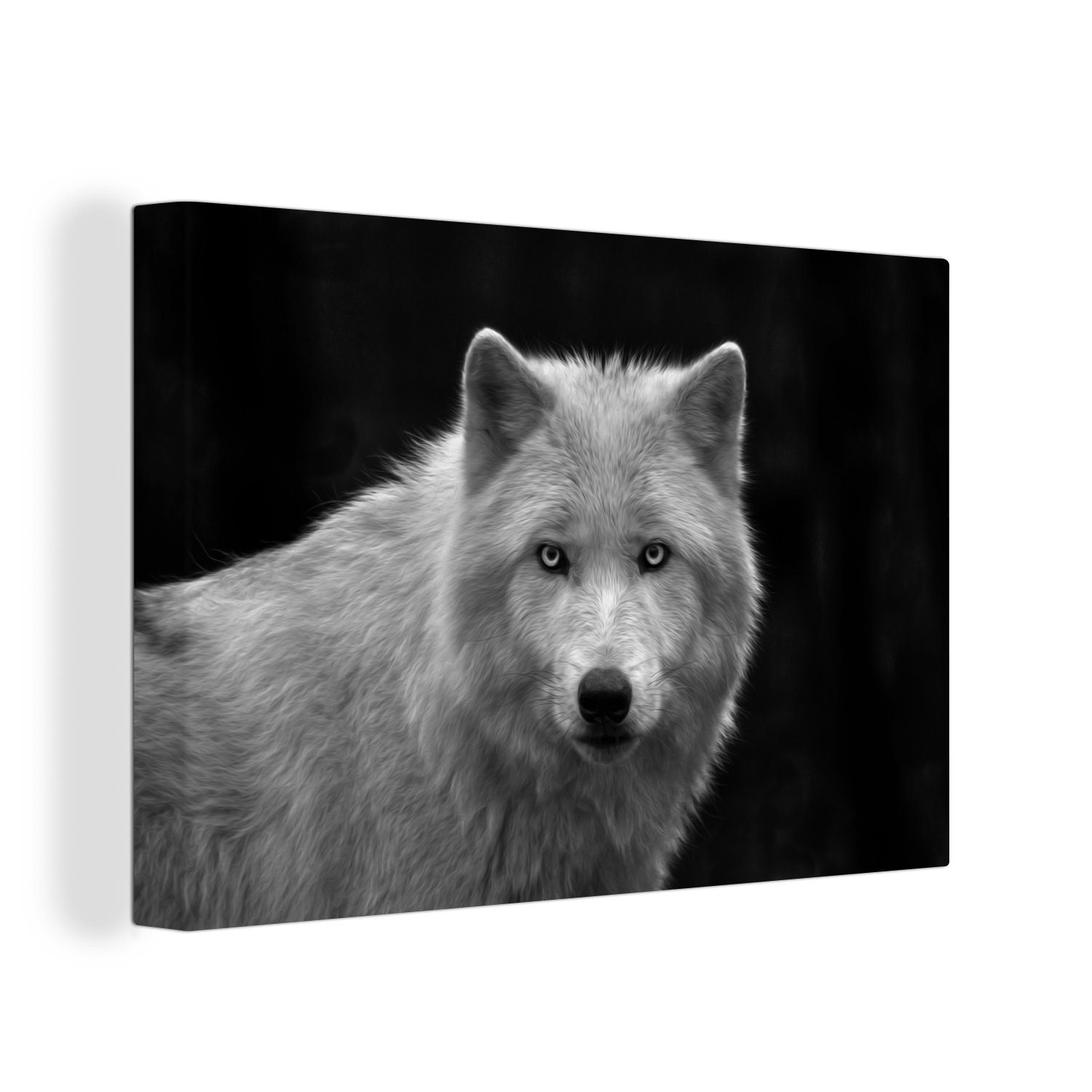 OneMillionCanvasses® Leinwandbild Starrender Lakota-Wolf auf schwarzem Hintergrund, (1 St), Wandbild Leinwandbilder, Aufhängefertig, Wanddeko, 30x20 cm