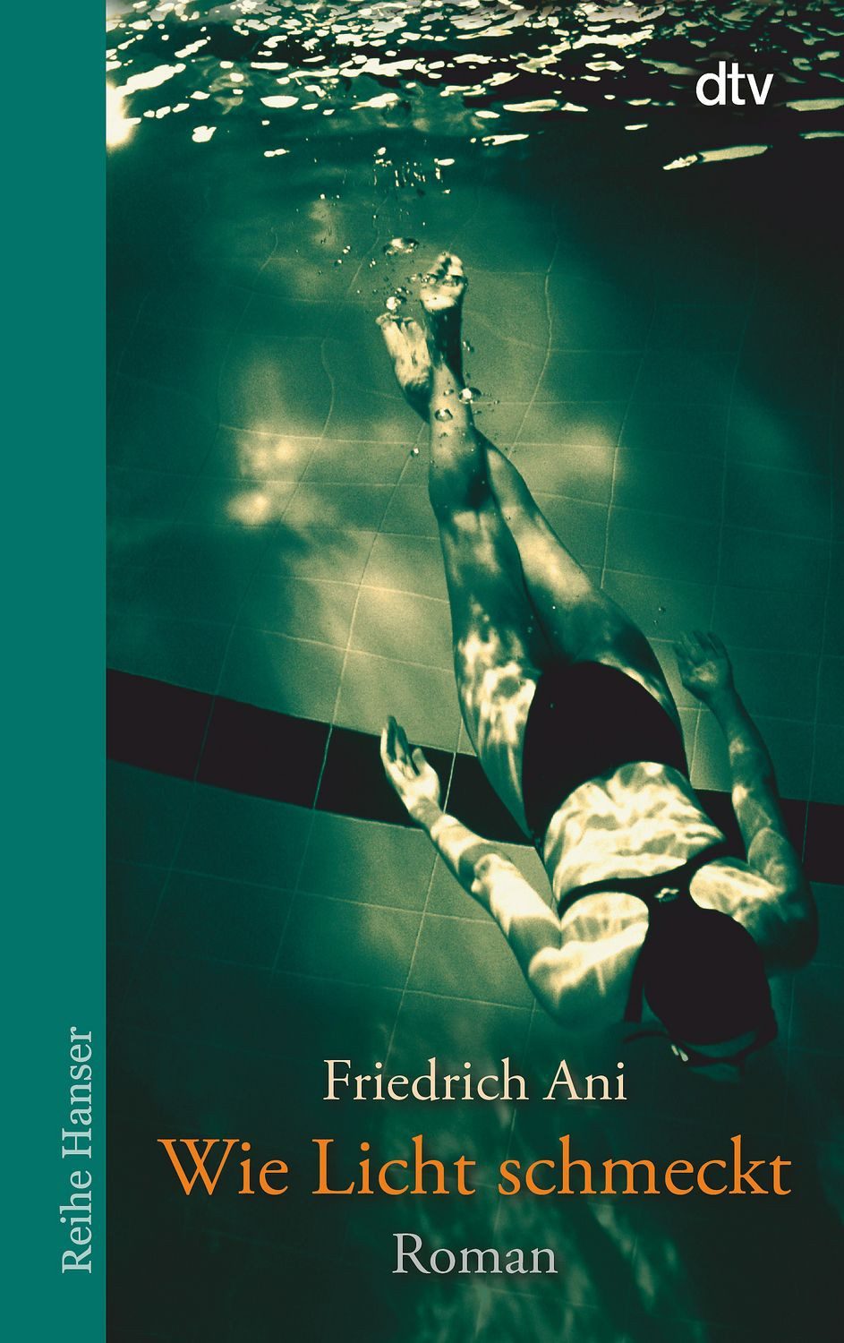 Jugendbuch Wie Licht schmeckt Roman Friedrich Ani