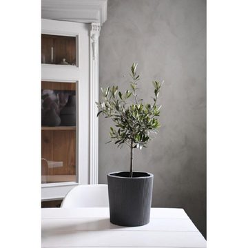 Storefactory Blumentopf Übertopf Vase Eksberg Dark Grey (20cm)