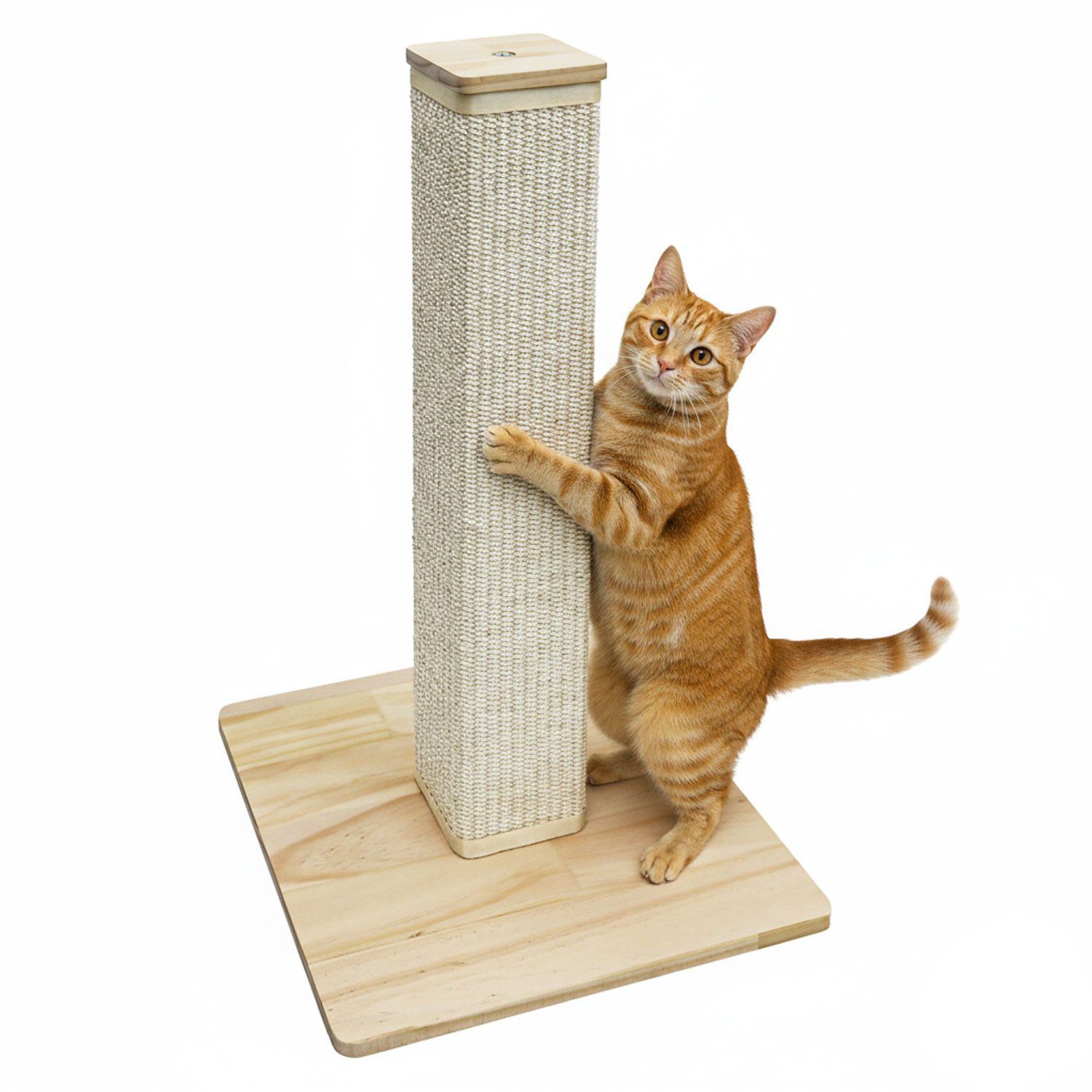 eyepower Kratzbaum Klein - 62 cm Kratzstamm mit Holzplatte Sisal Kratzsäule für Katzen, Katzenkratzbaum mit Massivholz Fußplatte - Sisalstamm Katze Stabil