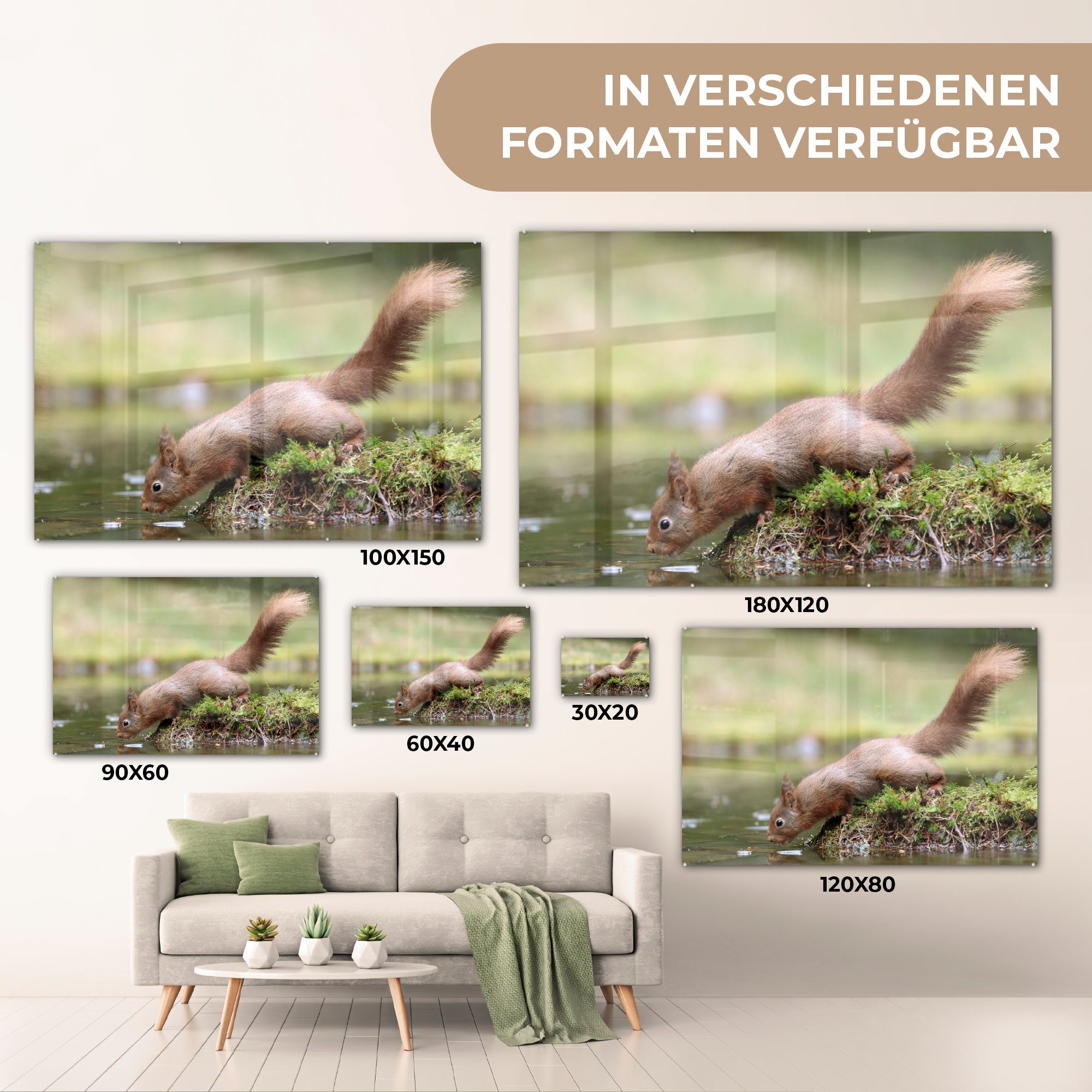 MuchoWow Acrylglasbild - (1 - Acrylglasbilder Eichhörnchen Schlafzimmer & Wohnzimmer Wasser St), Wald
