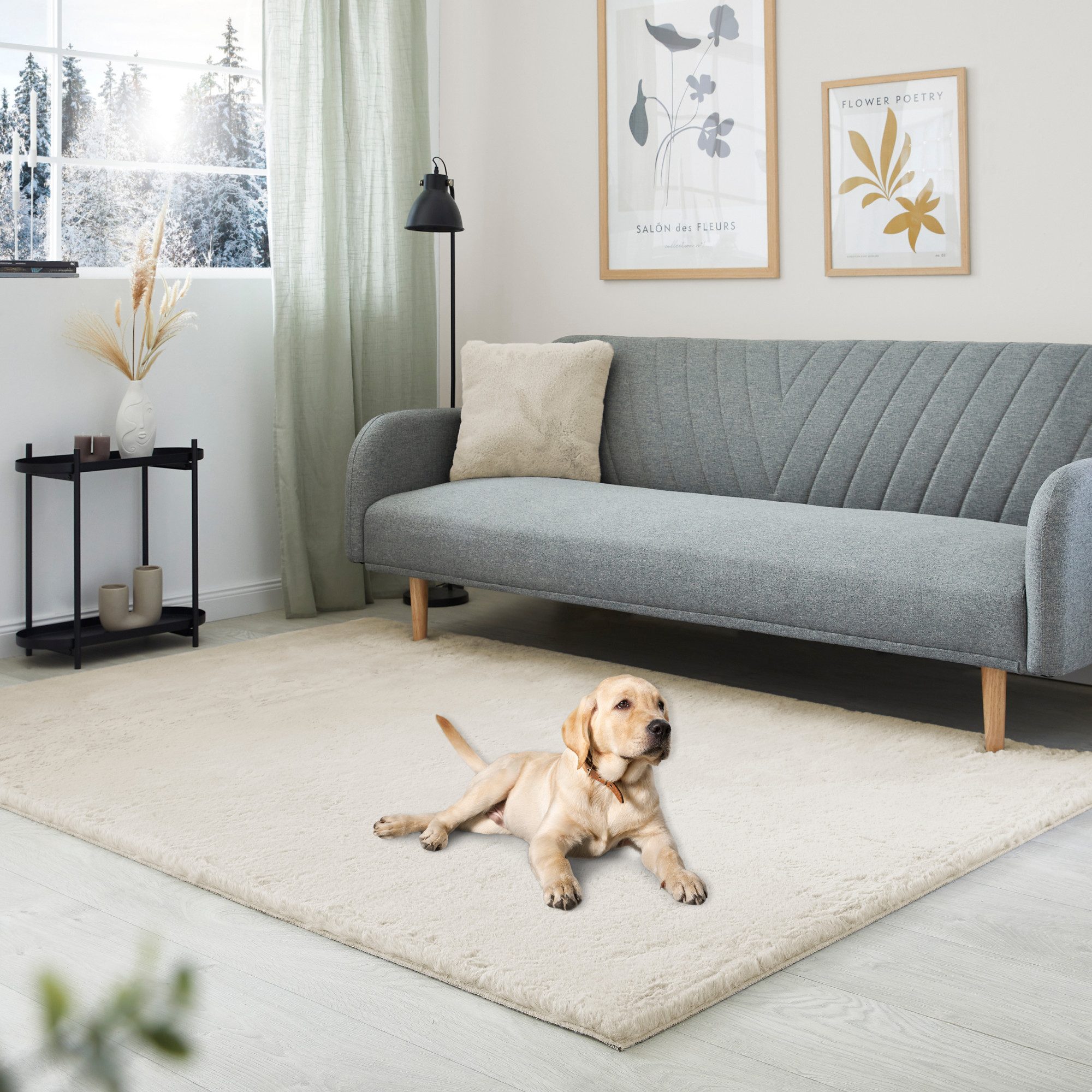 my home Hochflor-Teppich Lugano, rechteckig, Höhe: günstig online kaufen