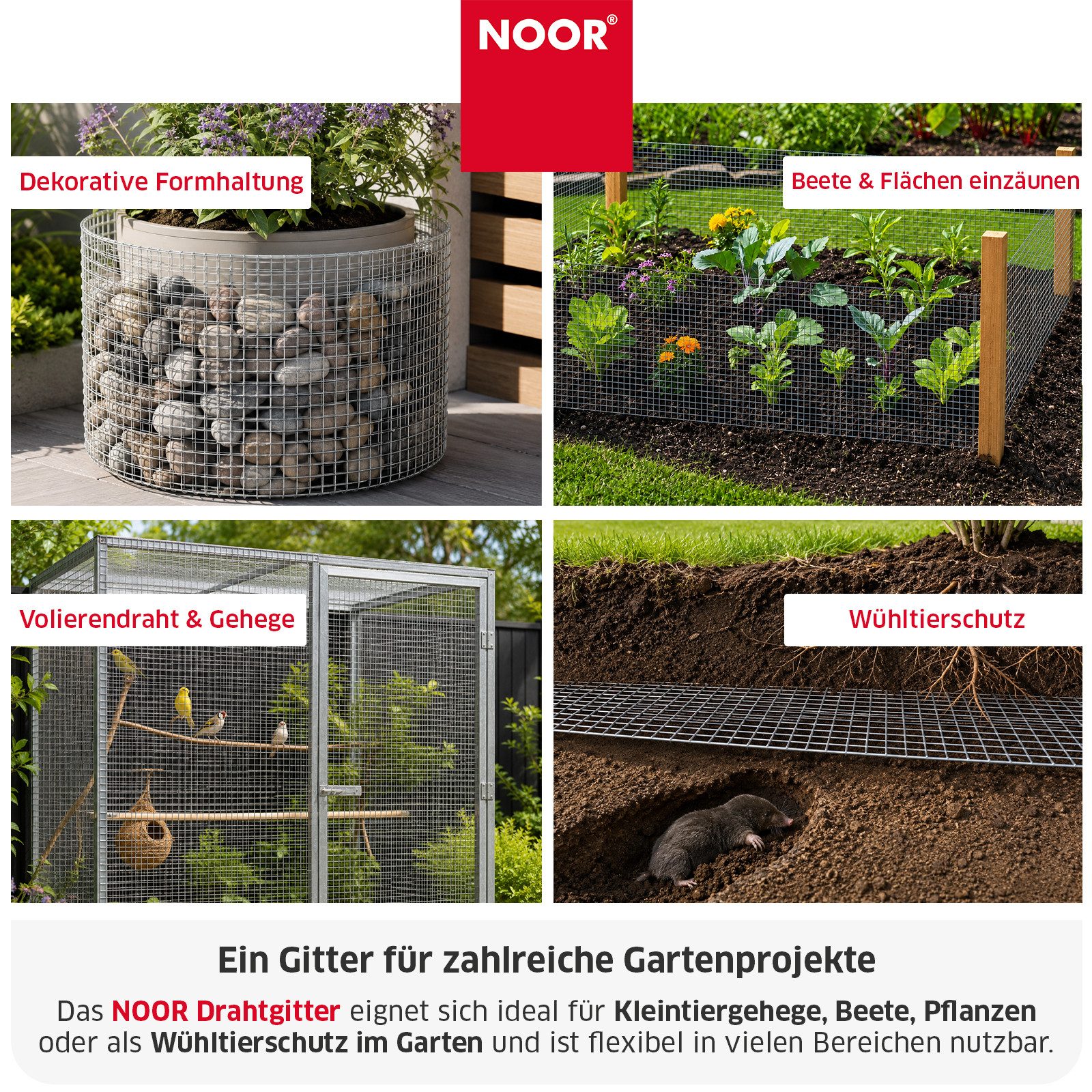 NOOR Maschendrahtzaun Drahtgitter - Pflanzenschutz in verschiedenen Größen und Maschenweiten, Engmaschiges und korrosionsbeständiges Drahtgeflecht - wetterfest – Bild 4 von 5
