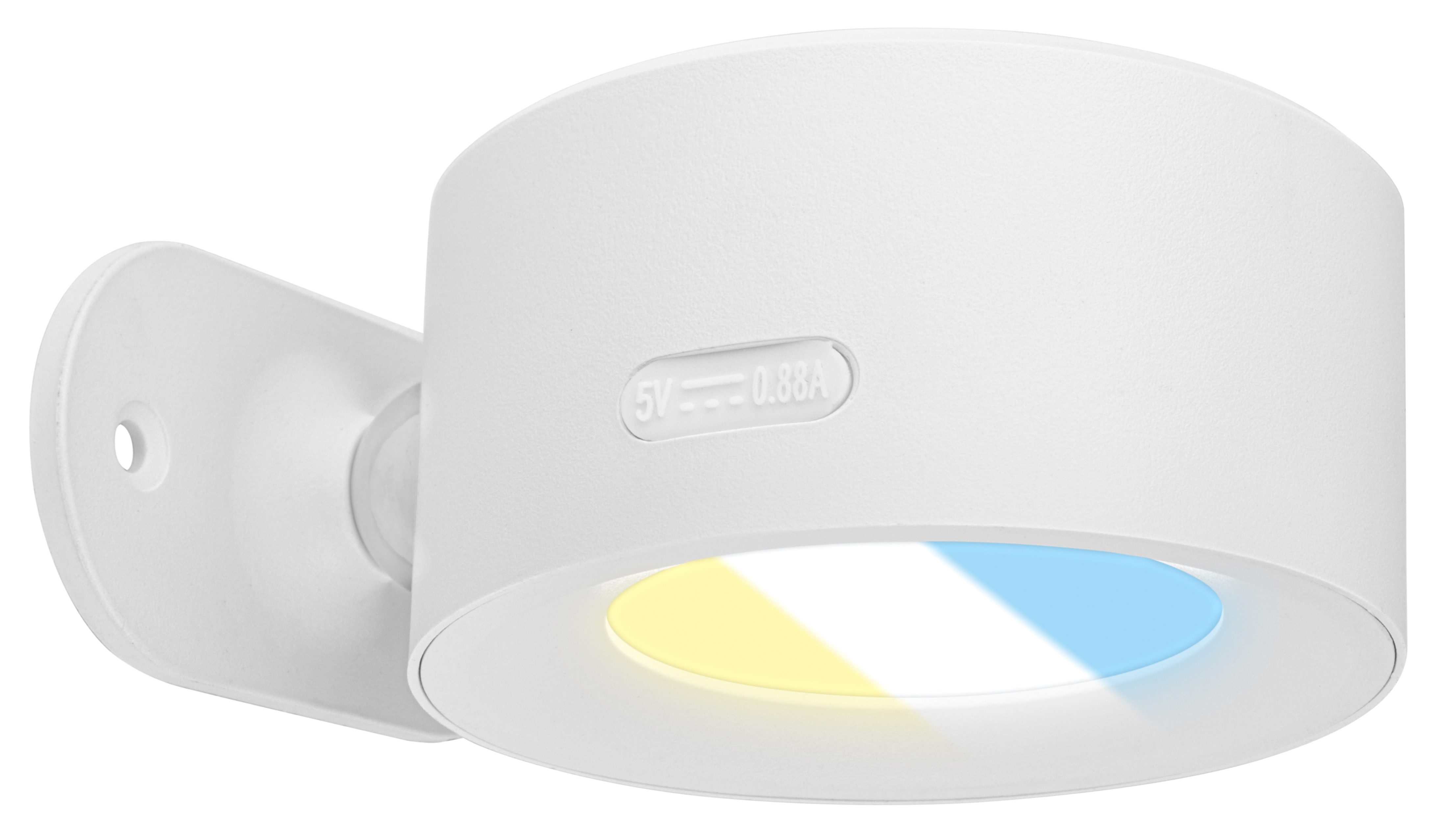 Briloner Leuchten LED Wandleuchte TARI 3896016 günstig online kaufen