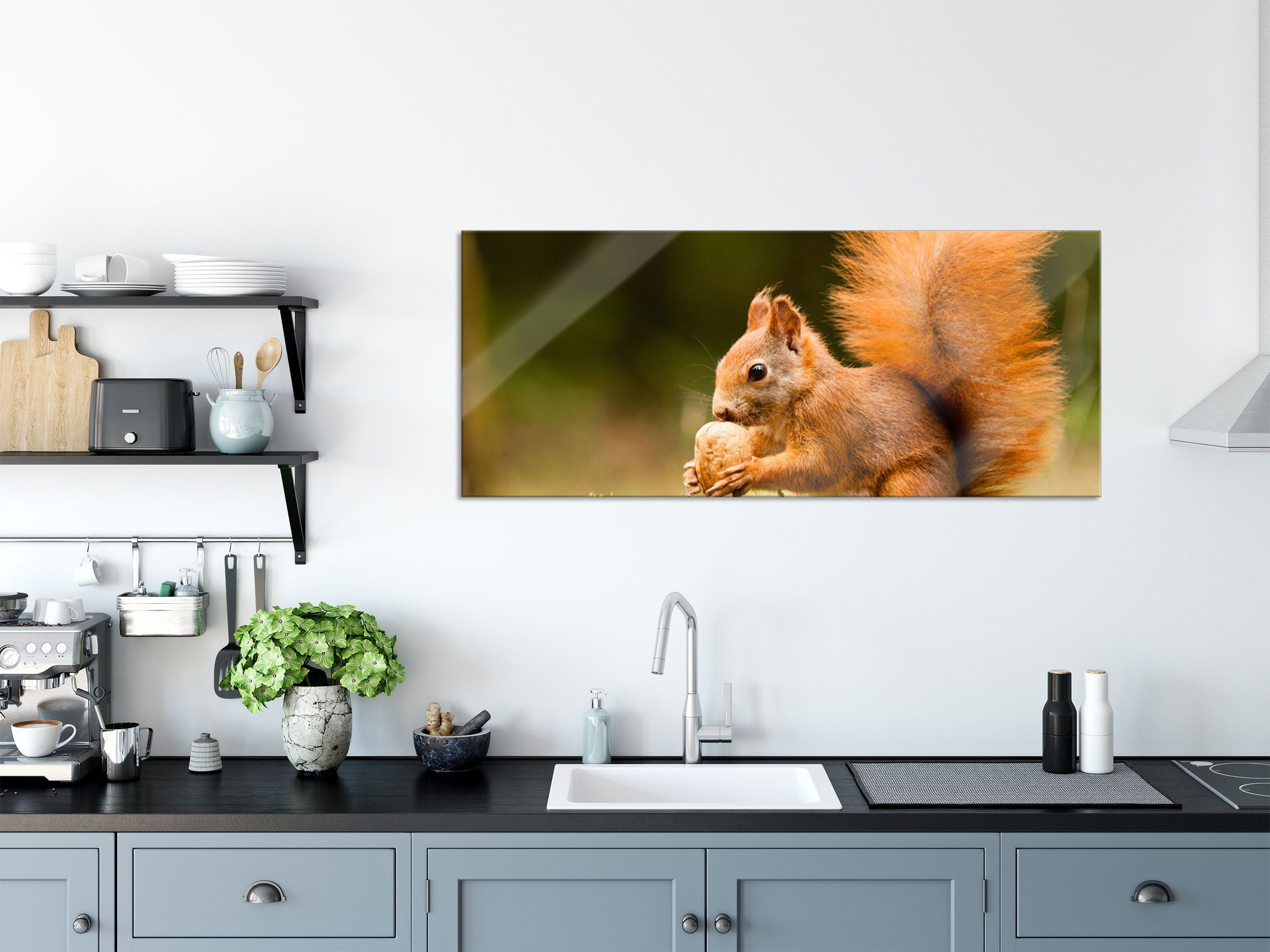 Abstandshalter inkl. und mit Eichhörnchen Glasbild aus (1 St), Pixxprint Aufhängungen Nuss Nuss, mit Echtglas, Glasbild Eichhörnchen