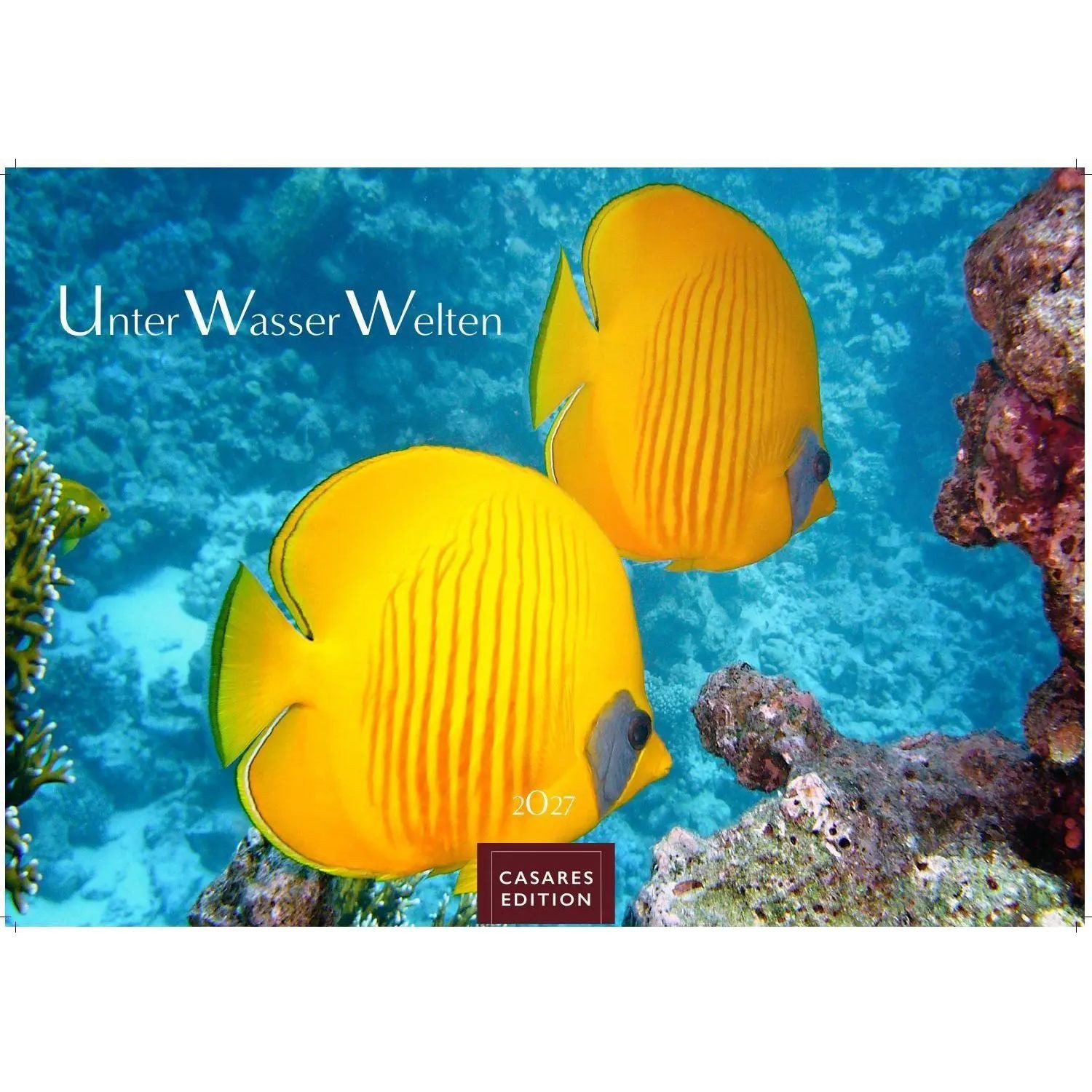 Wandkalender Unterwasserwelten Kalender 2027 - Wandkalender, Fotokalender...