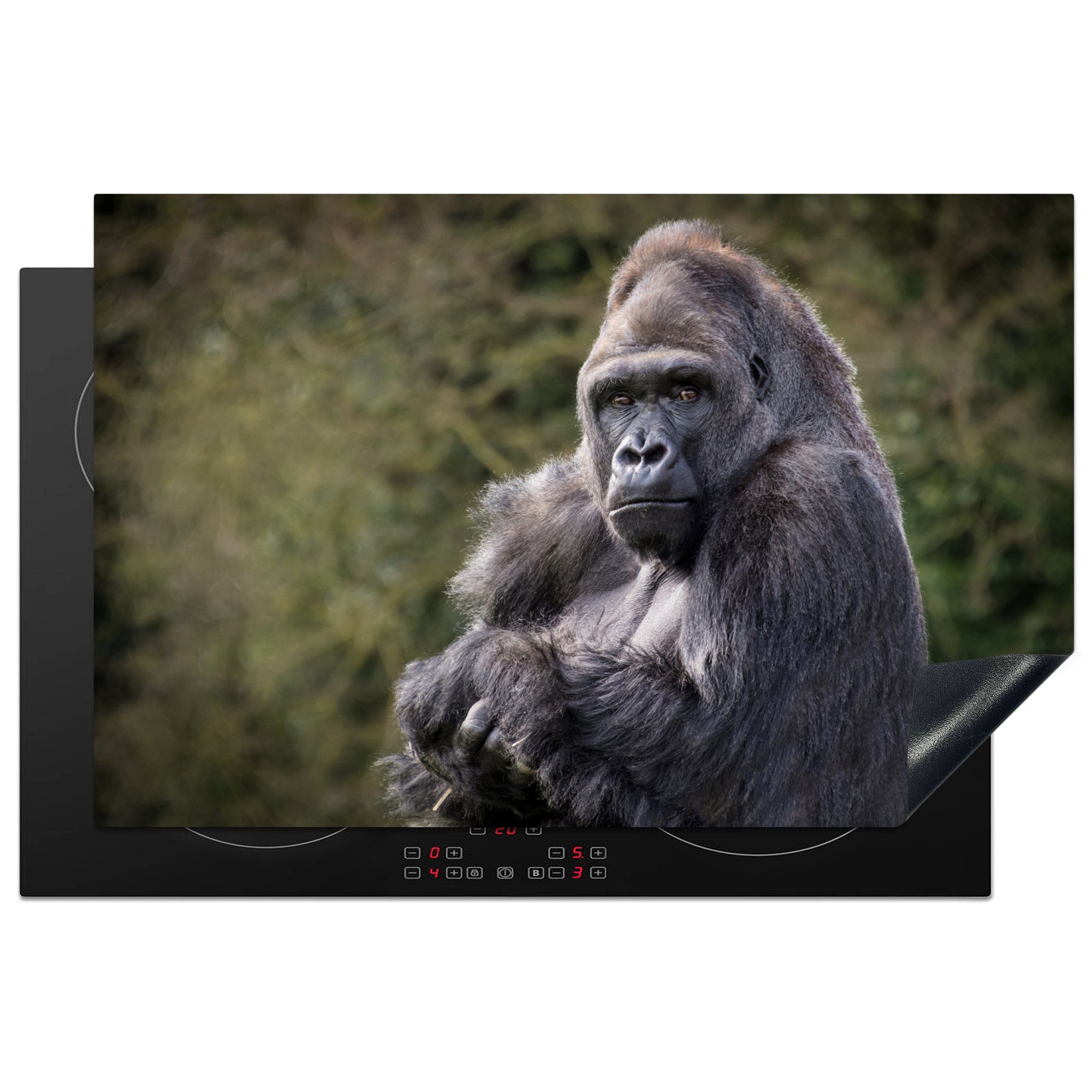 MuchoWow Herdblende-/Abdeckplatte Großer Gorilla schaut direkt in die Kamera, Vinyl, (1 tlg), 81x52 cm, Induktionskochfeld Schutz für die küche, Ceranfeldabdeckung