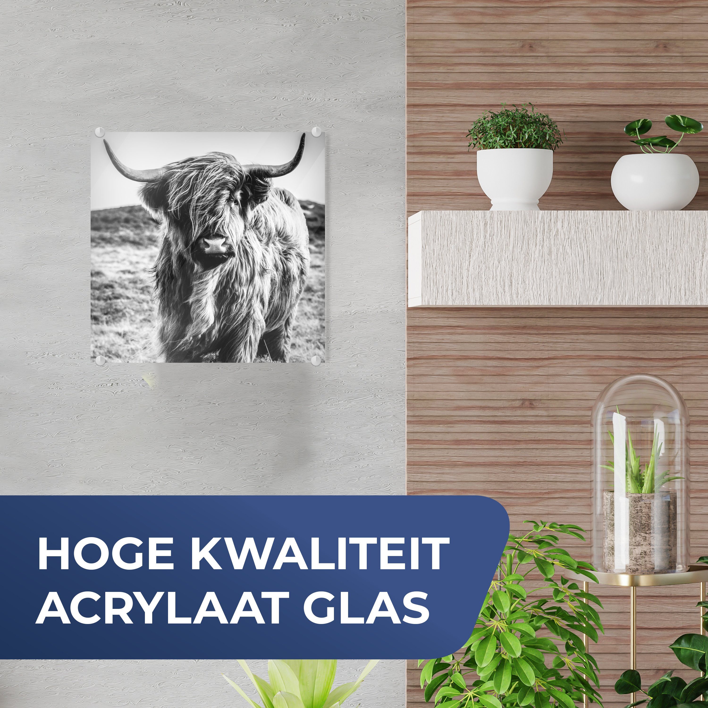 MuchoWow Acrylglasbild Schottischer Highlander - Natur günstig online kaufen