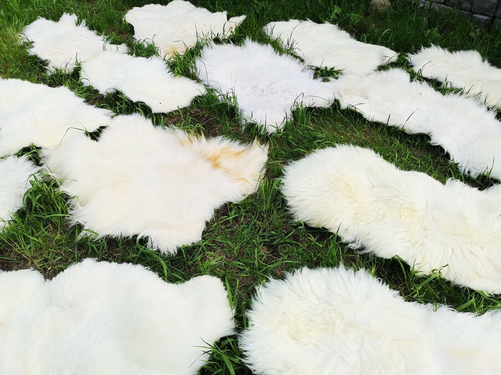 Provellus Fellteppich Hell Öko Schaffell Lammfell günstig online kaufen