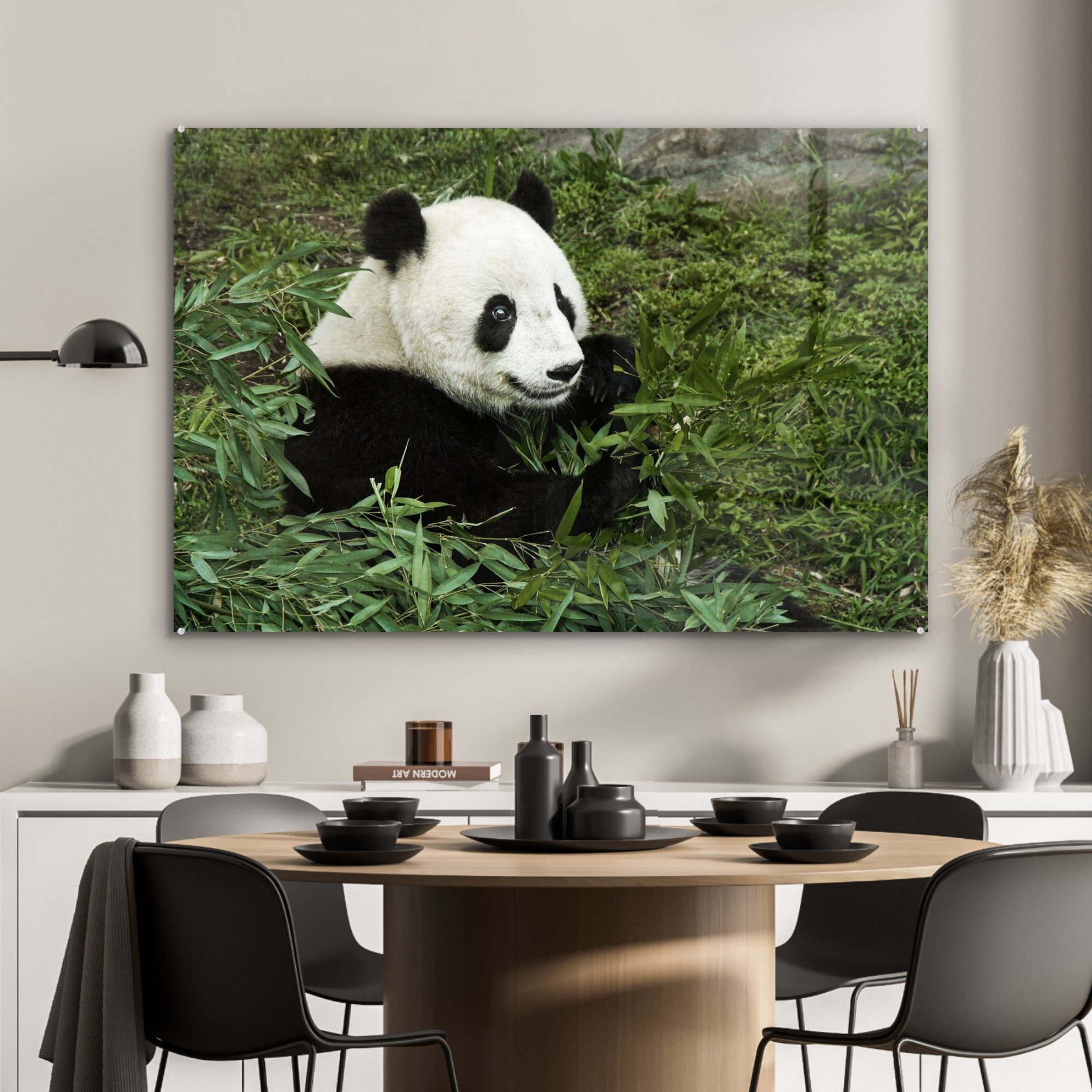 MuchoWow - (1 Bambus St), Pflanze, & Acrylglasbild Acrylglasbilder Schlafzimmer Panda - Wohnzimmer