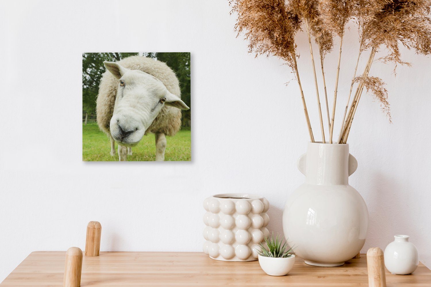 OneMillionCanvasses® Leinwandbild Schaf - Lustig - Wiese - Kinder - Jungen - Mädchen - Kind, (1 St), Wandbild Leinwandbilder, Aufhängefertig, Wanddeko, 30x20 cm – Bild 3 von 5