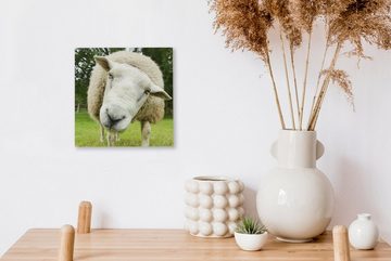 OneMillionCanvasses® Leinwandbild Schaf - Lustig - Wiese - Kinder - Jungen - Mädchen - Kind, (1 St), Leinwand Bilder für Wohnzimmer Schlafzimmer