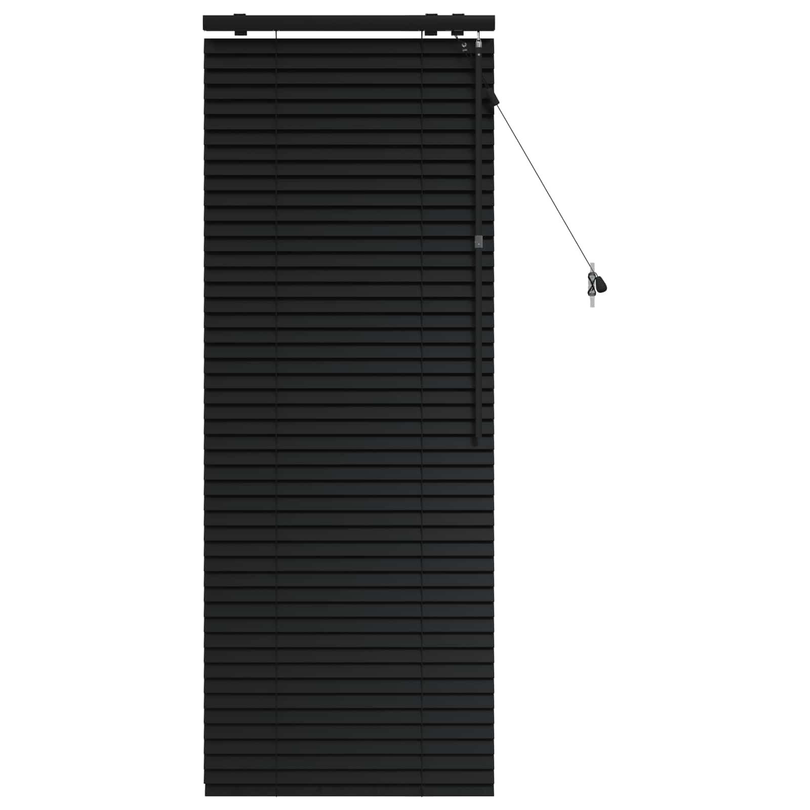 Rollo Venezianische Jalousie Schwarz 60 x 160 cm 35 mm, vidaXL