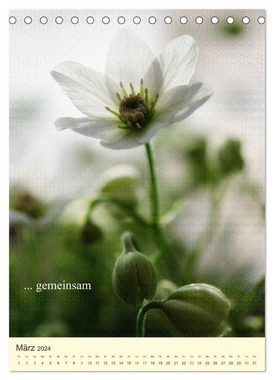 CALVENDO Wandkalender flowers (Tischkalender 2024 DIN A5 hoch), CALVENDO Monatskalender