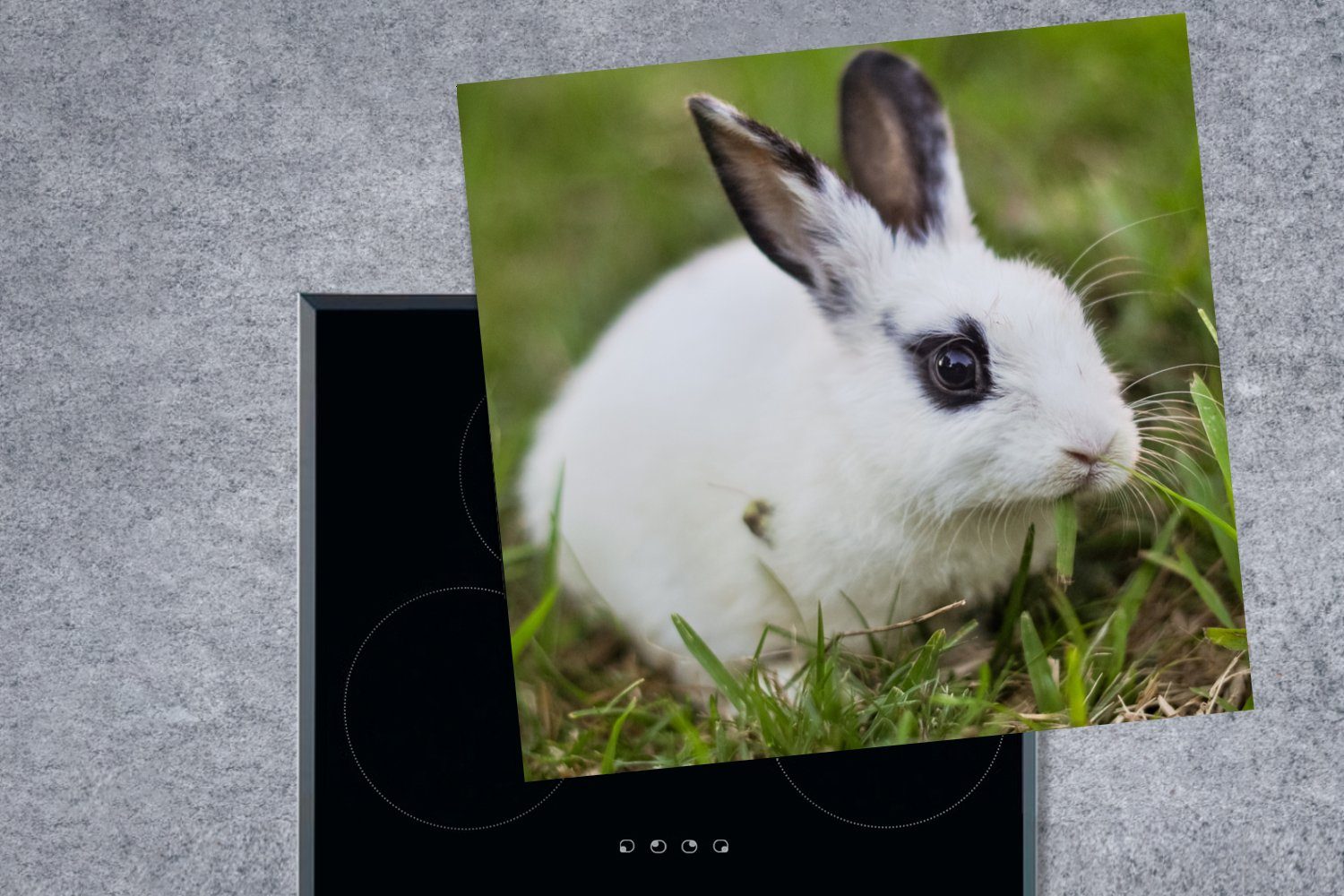 MuchoWow Vinyl, 78x78 Baby cm, Herdblende-/Abdeckplatte Ceranfeldabdeckung, - küche tlg), Arbeitsplatte (1 - - Weiß, Gras Kaninchen für