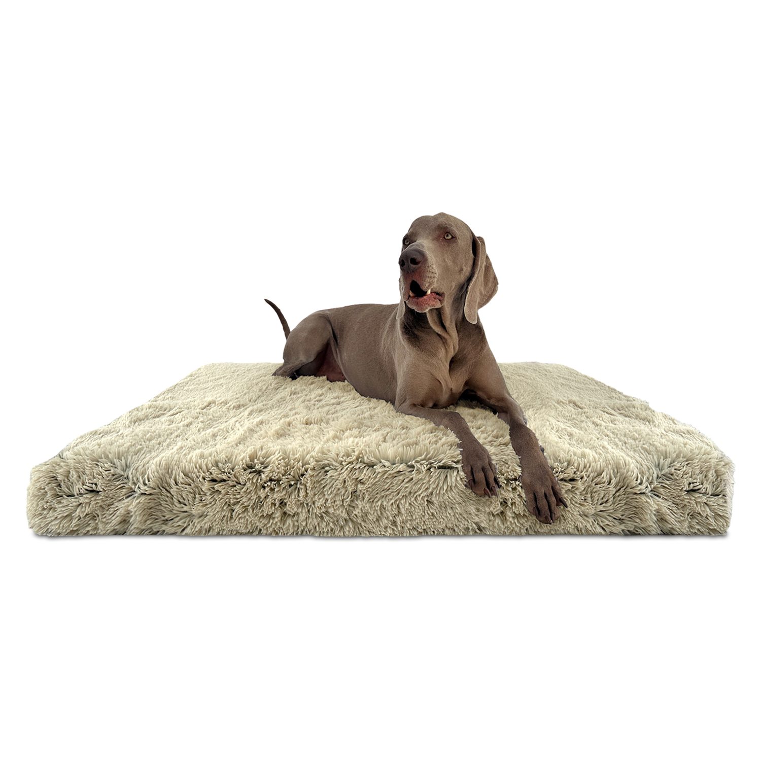 tierlando® Tierbett Orthopädische Hundematratze PITT Shaggy günstig online kaufen