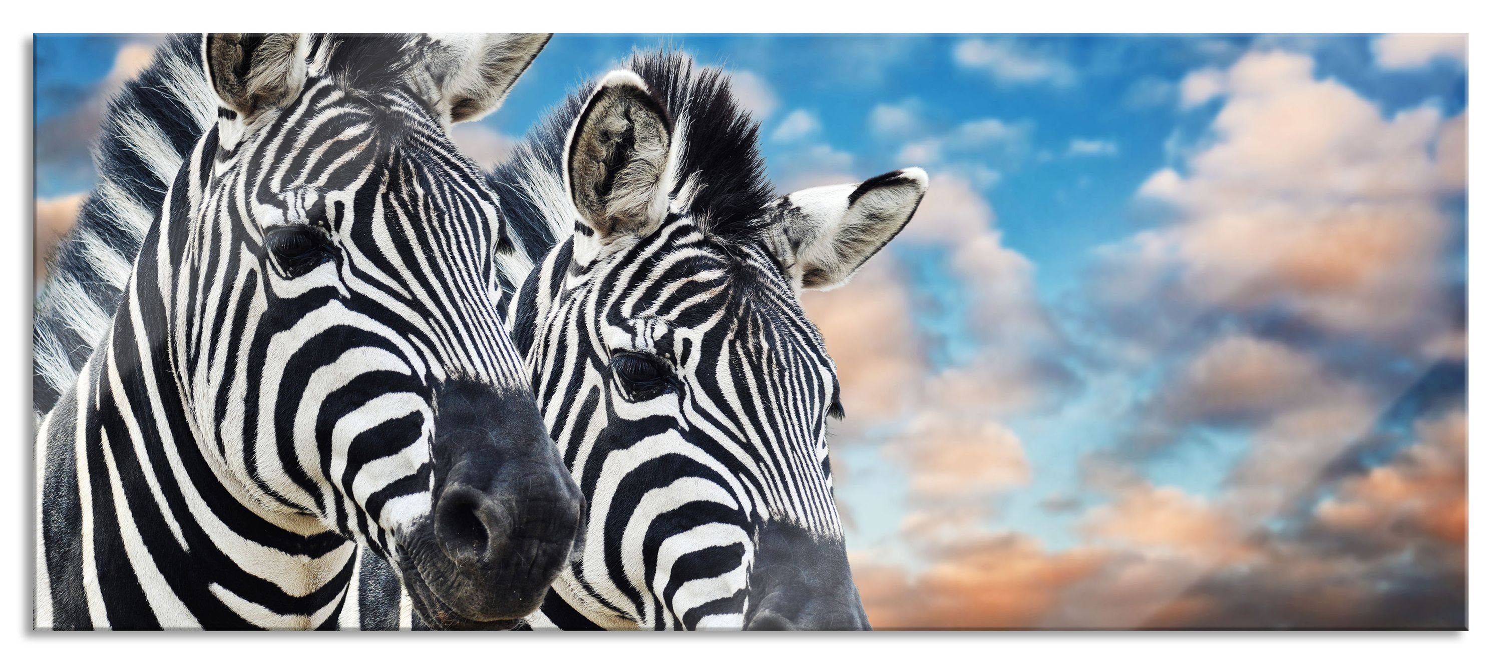 Aufhängungen Zebra Glasbild Pärchen inkl. (1 Glasbild Pixxprint aus Echtglas, und Abstandshalter St), Zebra Pärchen,