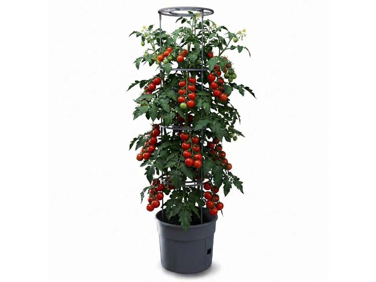 Prosperplast Anzuchttopf für Tomaten, Gemüse (39,2 cm), inkl. Rankhilfe, Balkon, Terasse, Garten