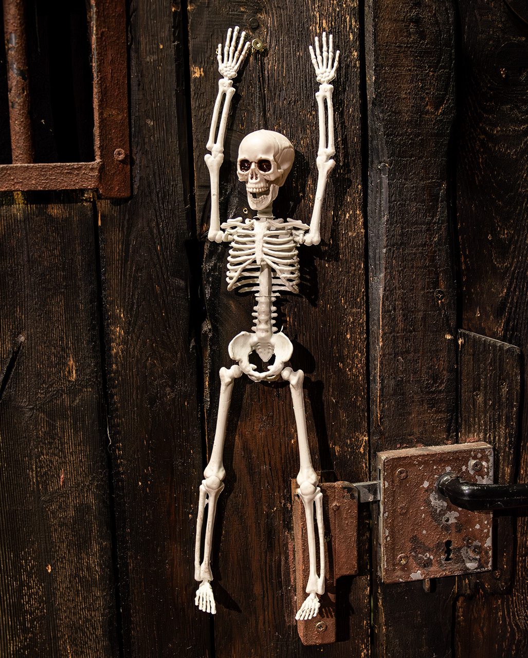 Horror-Shop Dekoobjekt Halloween Skelett 40 cm - Beweglich – Bild 2 von 5